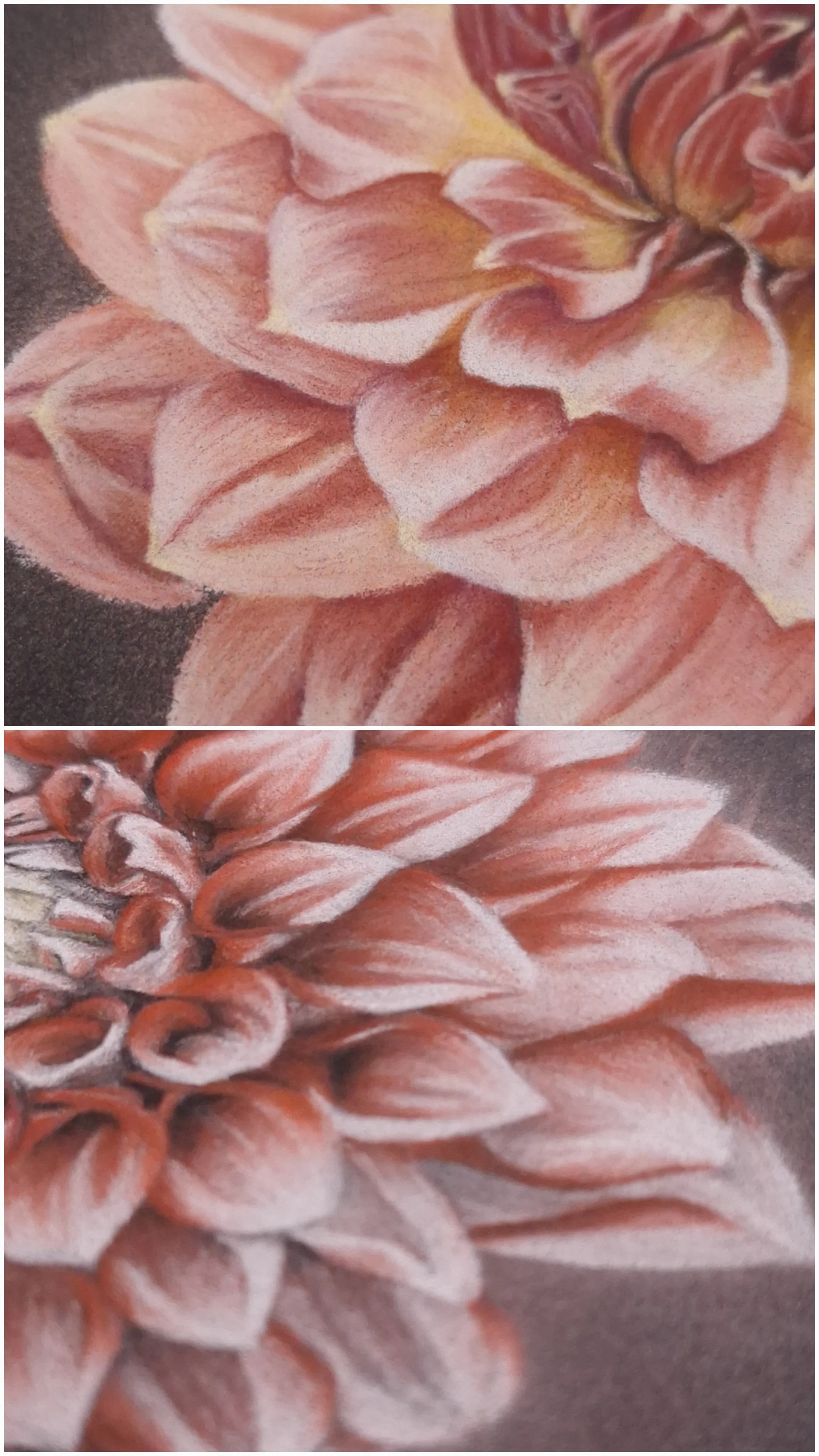 "Bloom" In Nature Collection