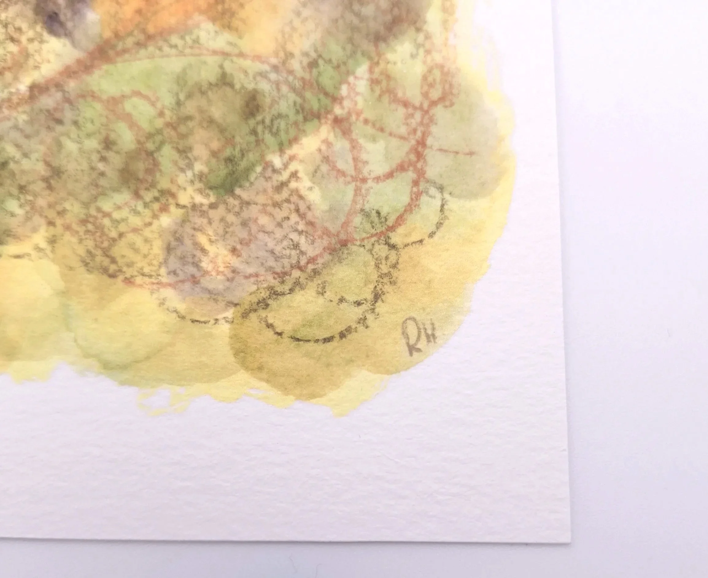 Gaze in the Moonlit Thicket – Original - Rachel & Sarah