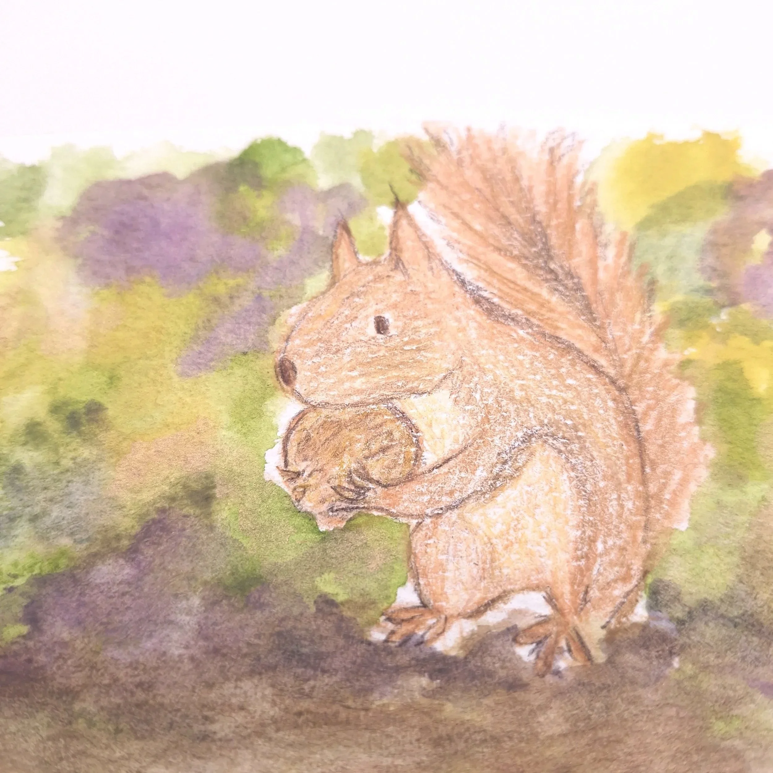 Forage in the Wild Patch – Original - Rachel & Sarah