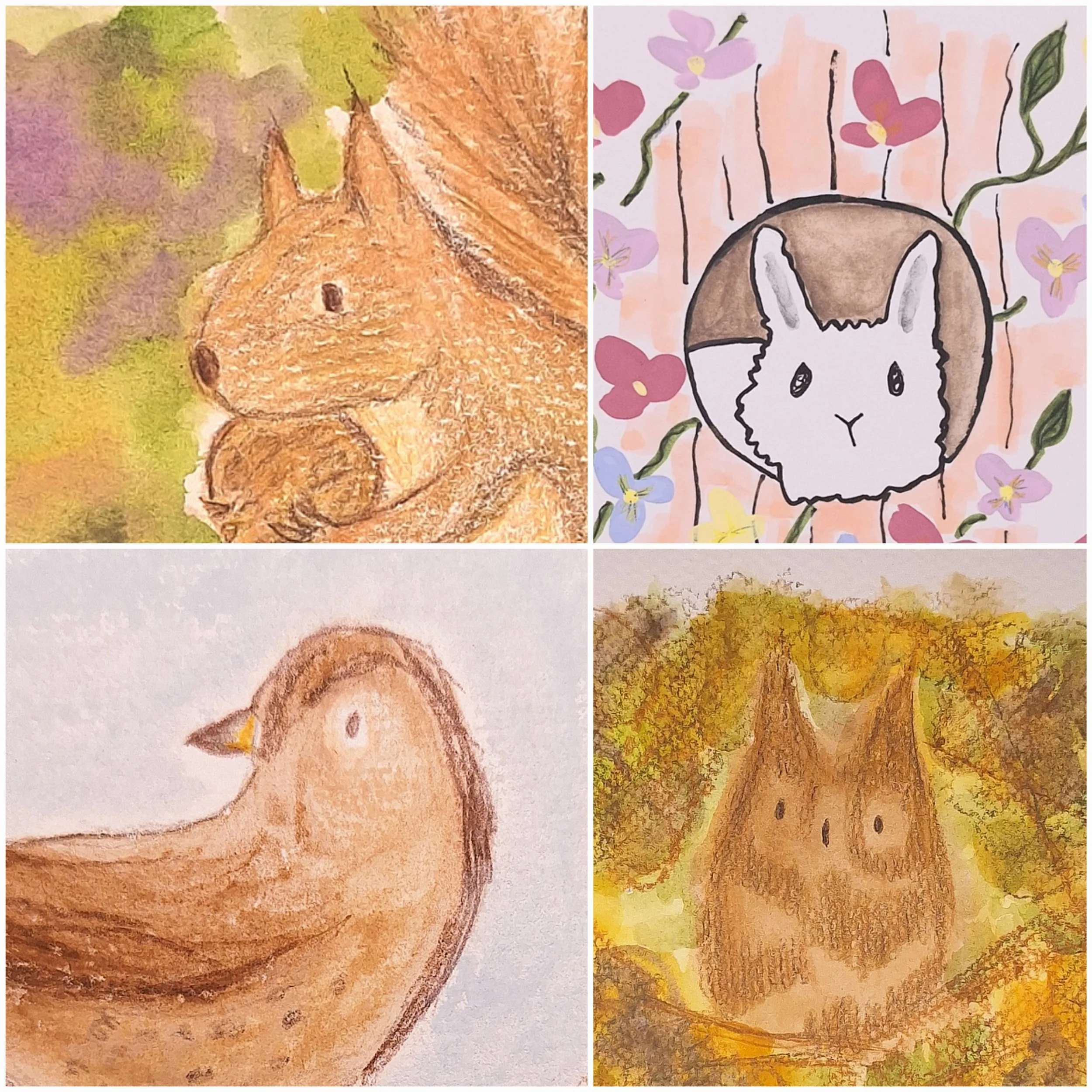 Wildlife Collection