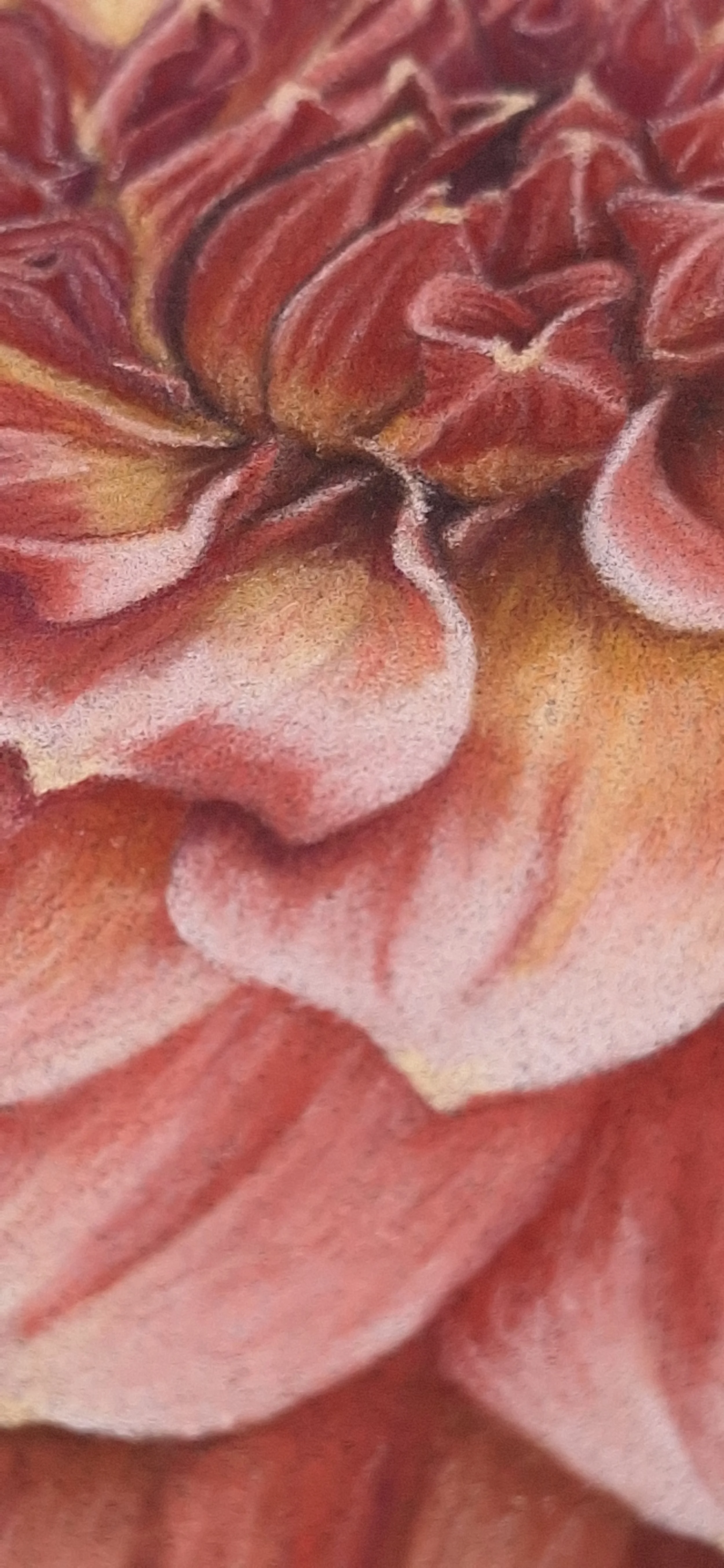 20251019_155312.jpg