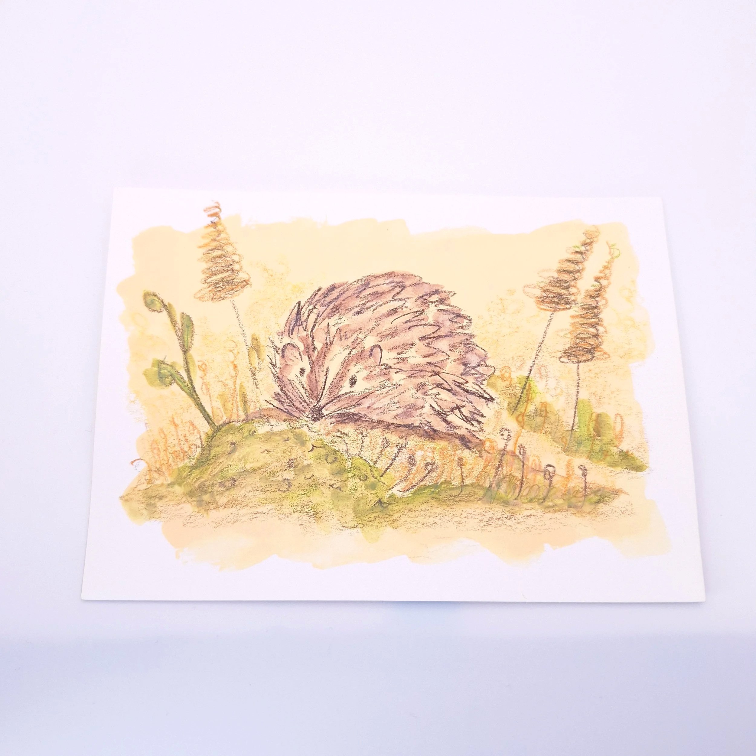 Nestled in the Meadow – Original - Rachel & Sarah