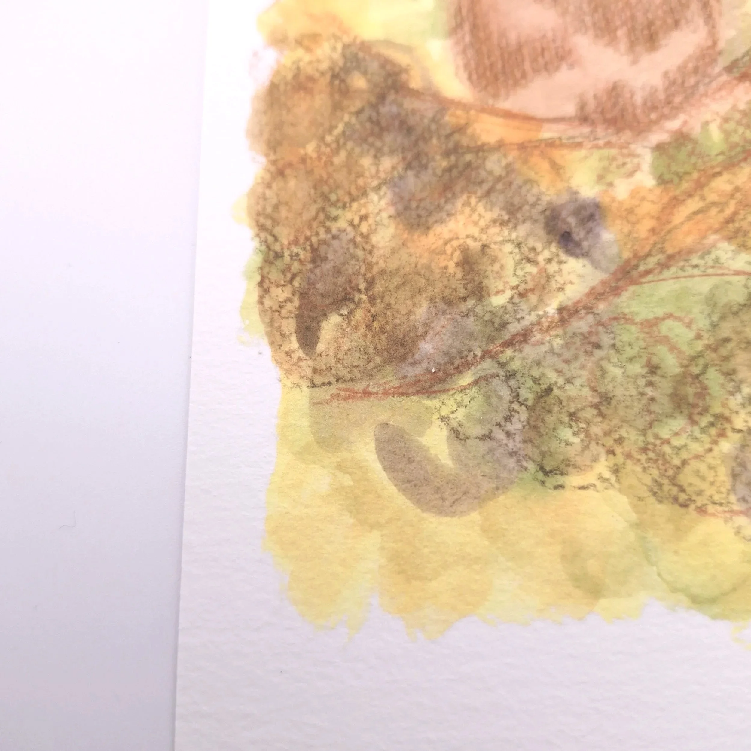 Gaze in the Moonlit Thicket – Original - Rachel & Sarah
