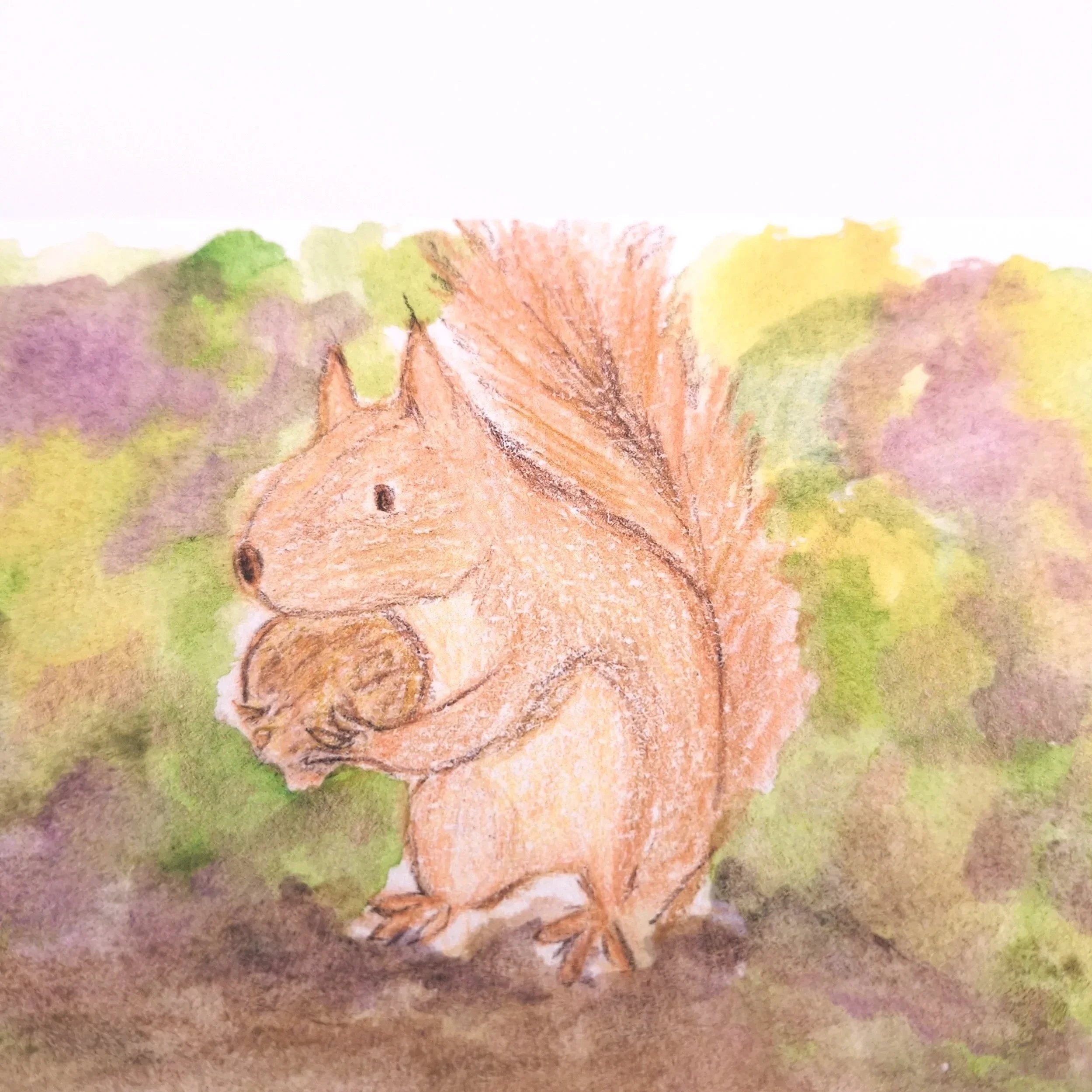 Forage in the Wild Patch – Original - Rachel & Sarah