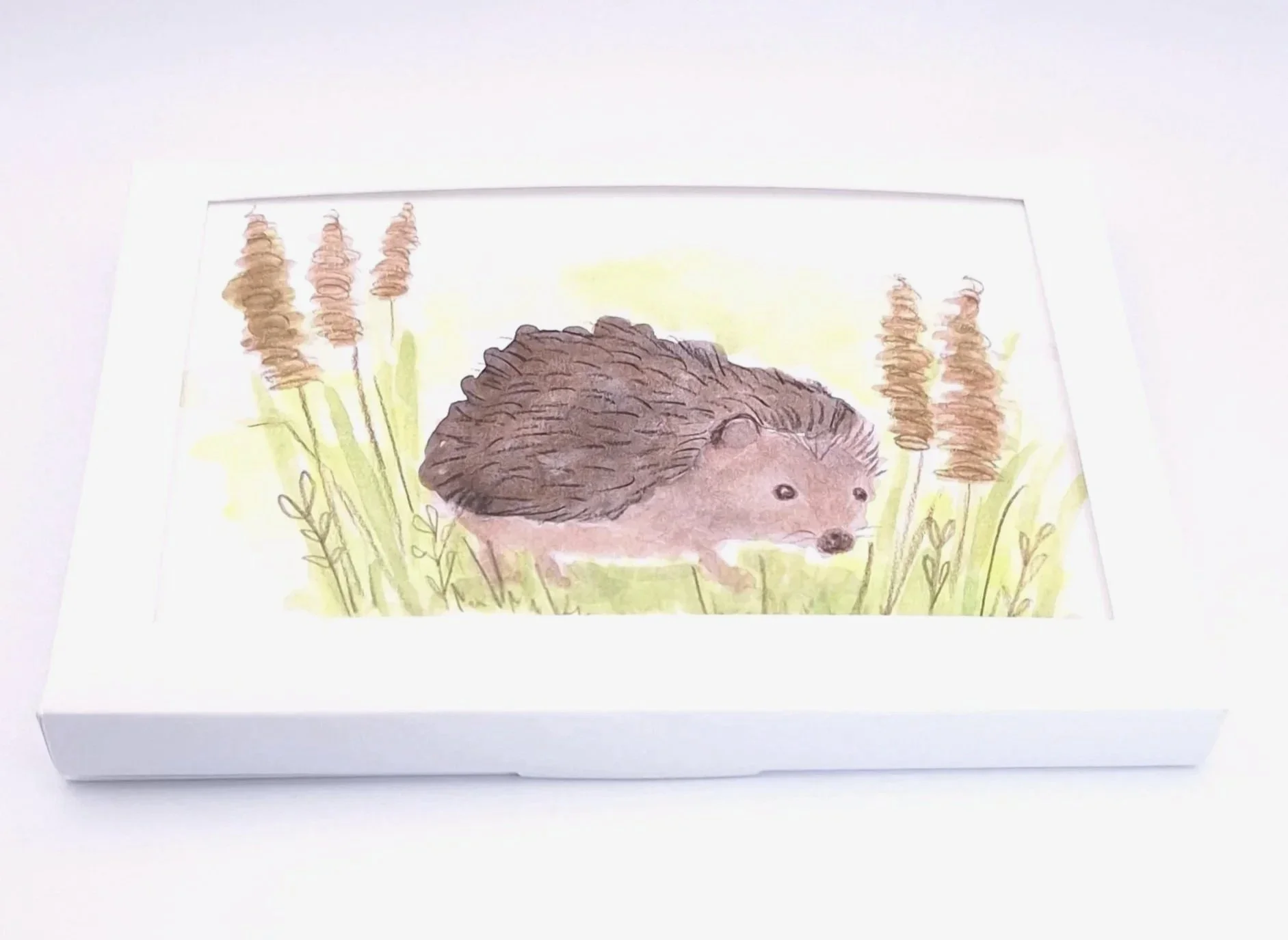 Greetings Card of "Bristles in the Long Grass" - Rachel & Sarah