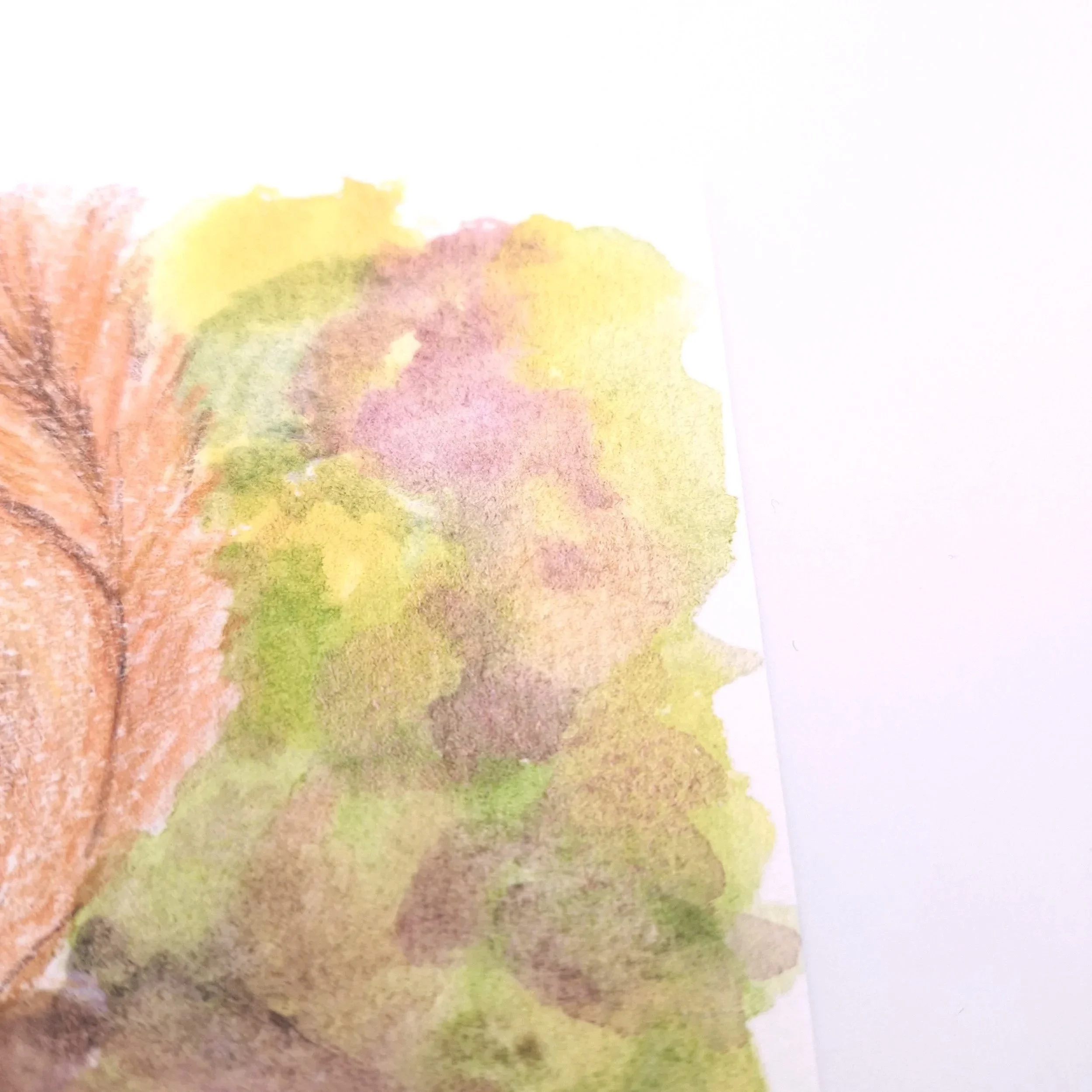 Forage in the Wild Patch – Original - Rachel & Sarah