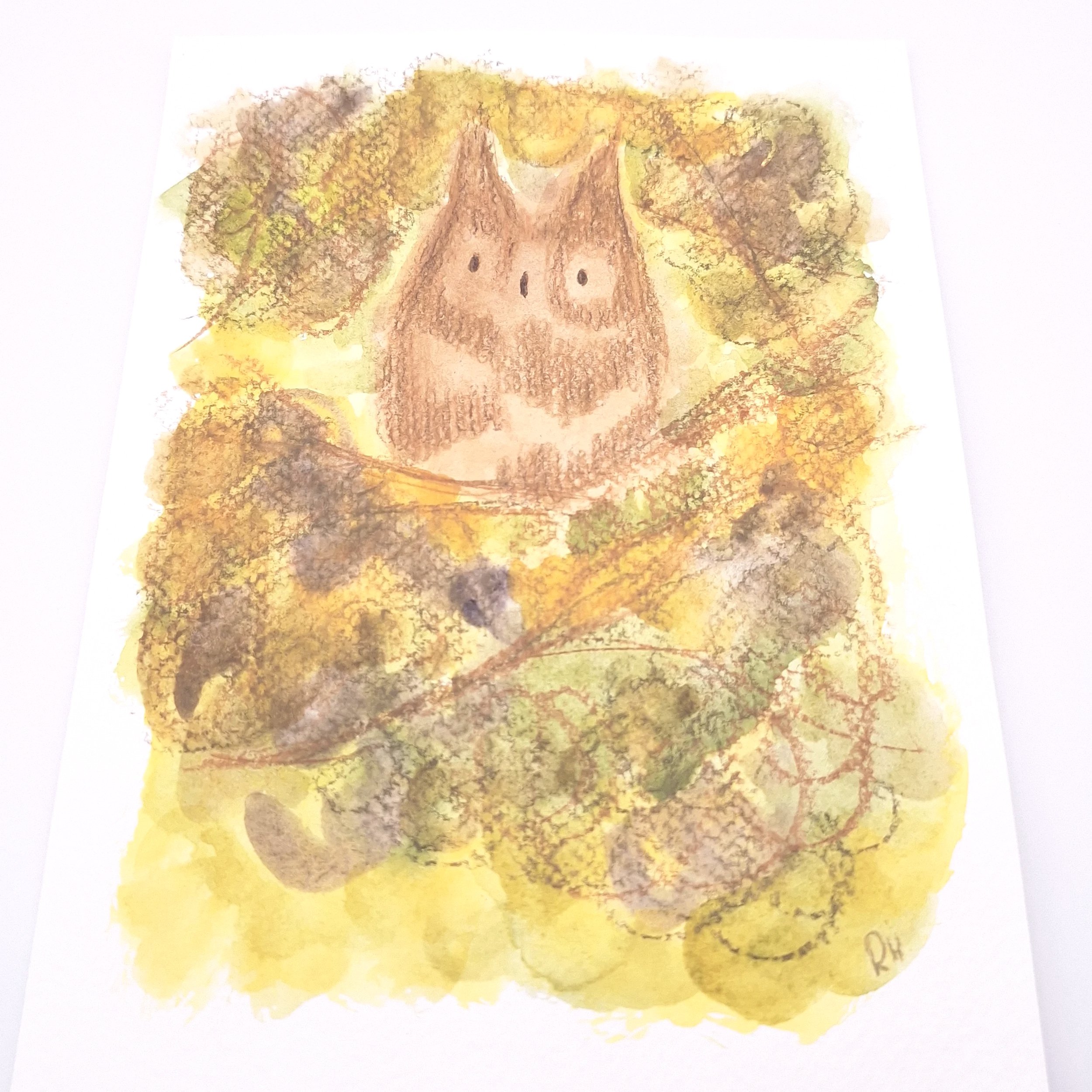 Gaze in the Moonlit Thicket – Original - Rachel & Sarah