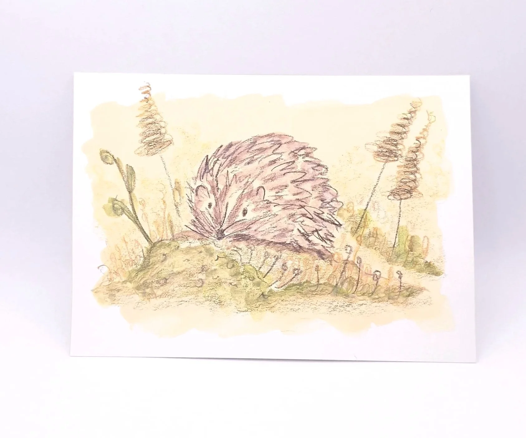 Nestled in the Meadow – Original - Rachel & Sarah