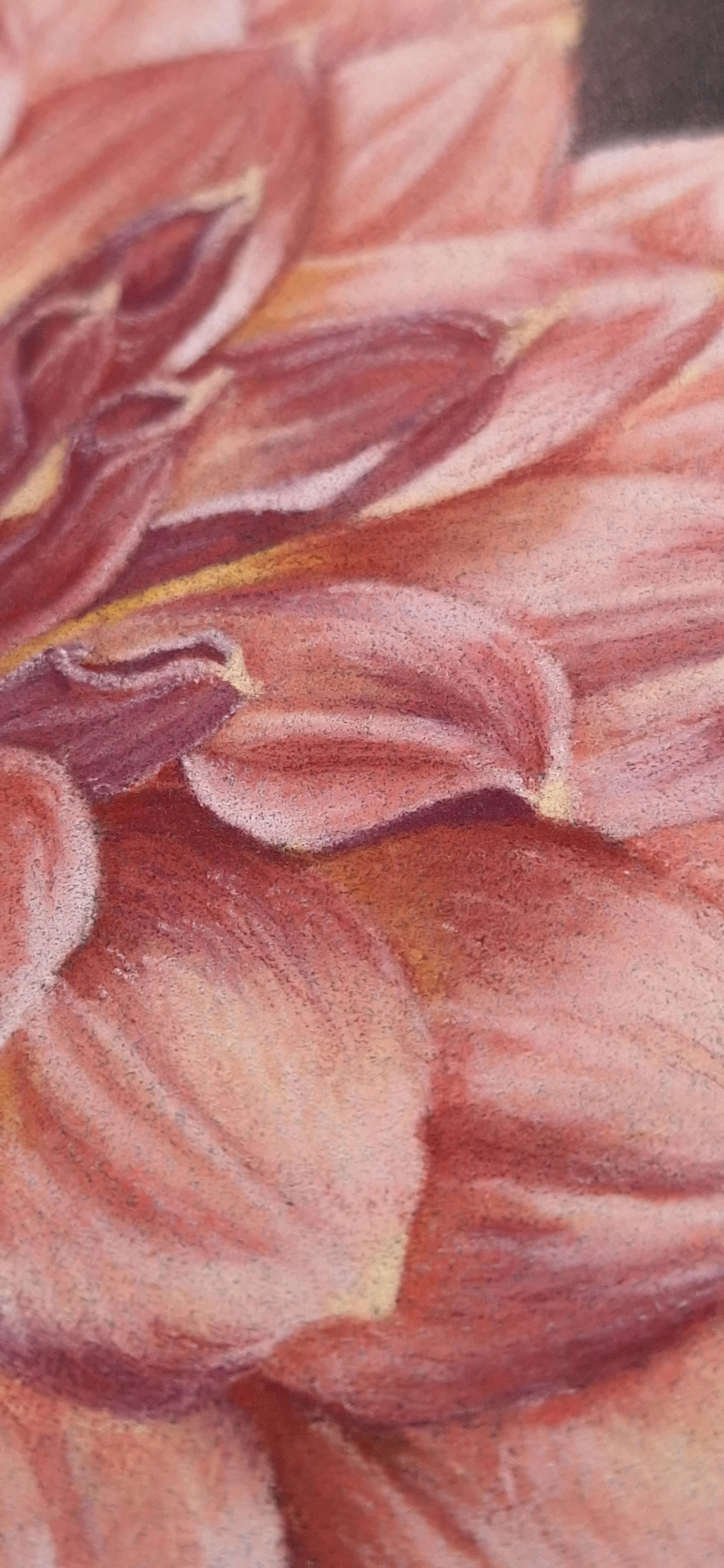 Close-up of a detailed, realistic painting of pink and red flower petals with textures and shading.
