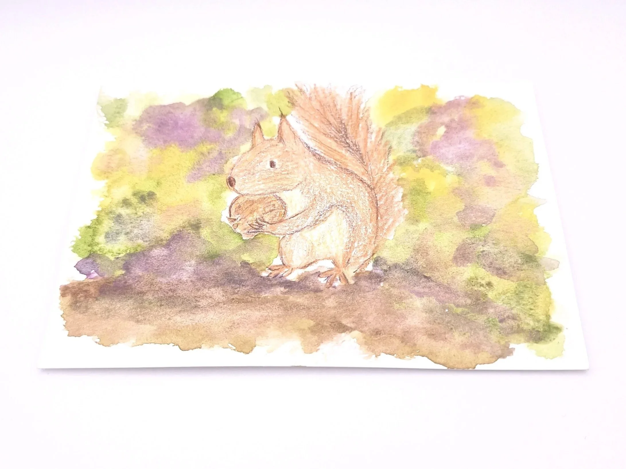 Forage in the Wild Patch – Original - Rachel & Sarah
