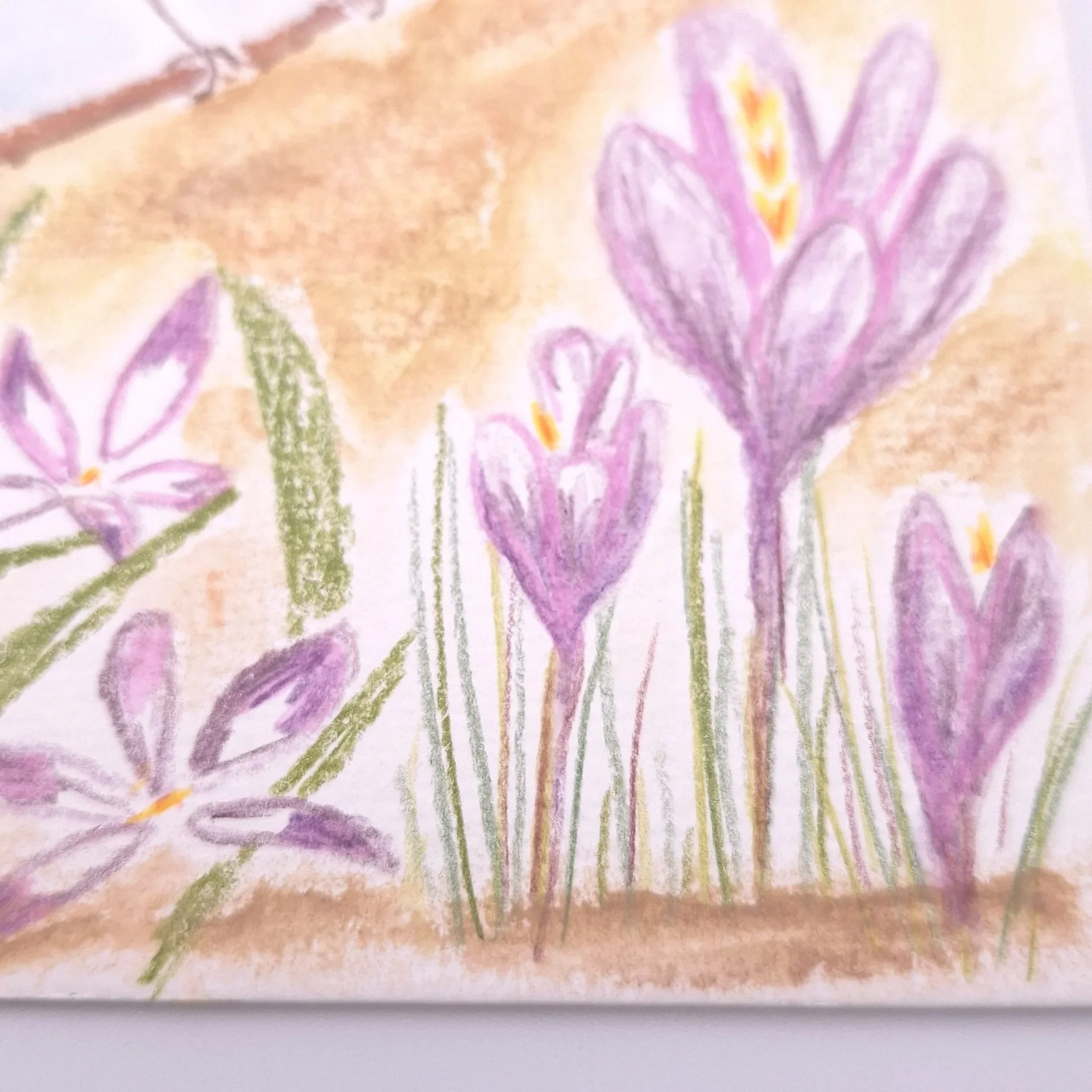 Whistle Among the Flowers – Original - Rachel & Sarah