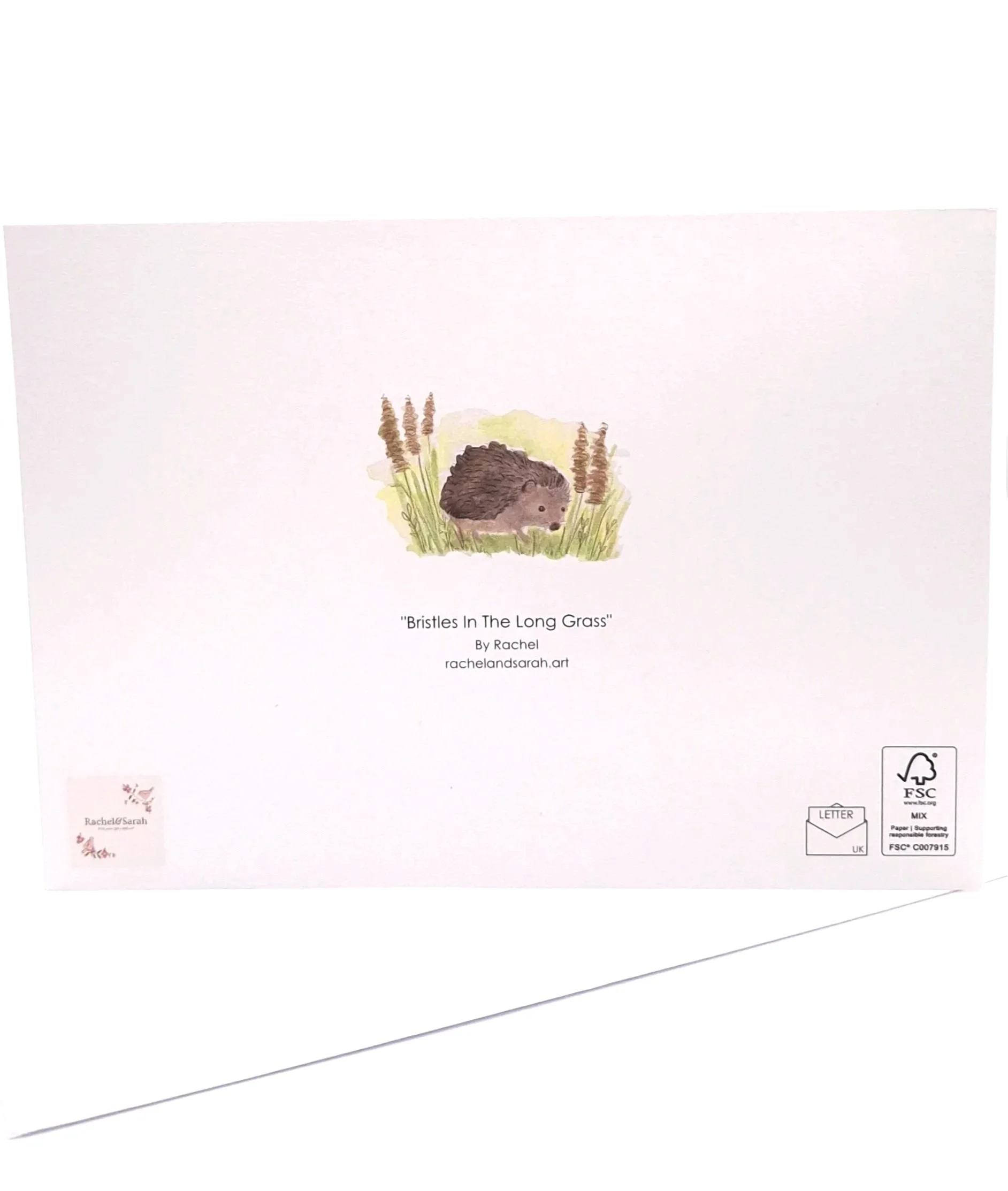 Greetings Card of "Bristles in the Long Grass" - Rachel & Sarah
