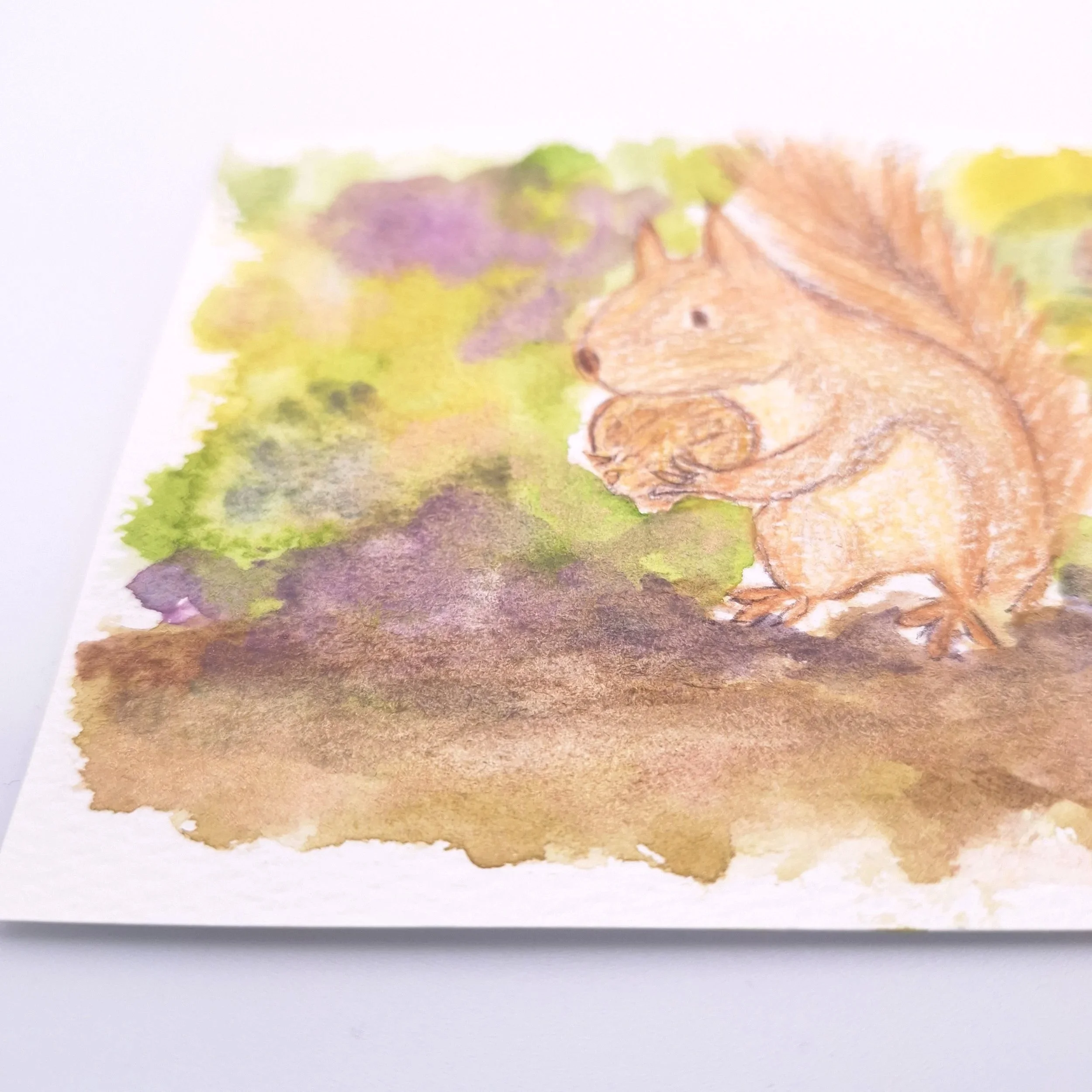 Forage in the Wild Patch – Original - Rachel & Sarah