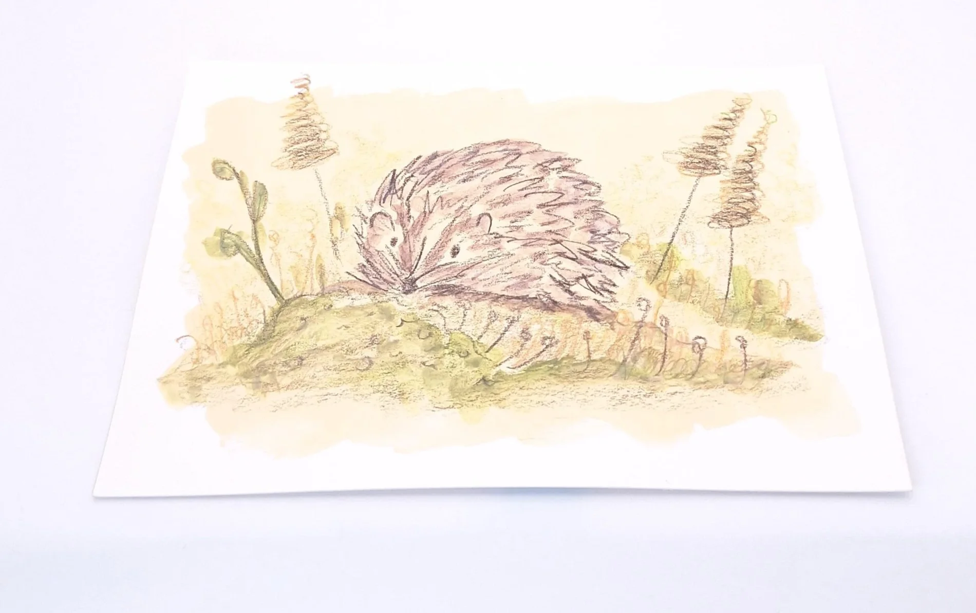 Nestled in the Meadow – Original - Rachel & Sarah