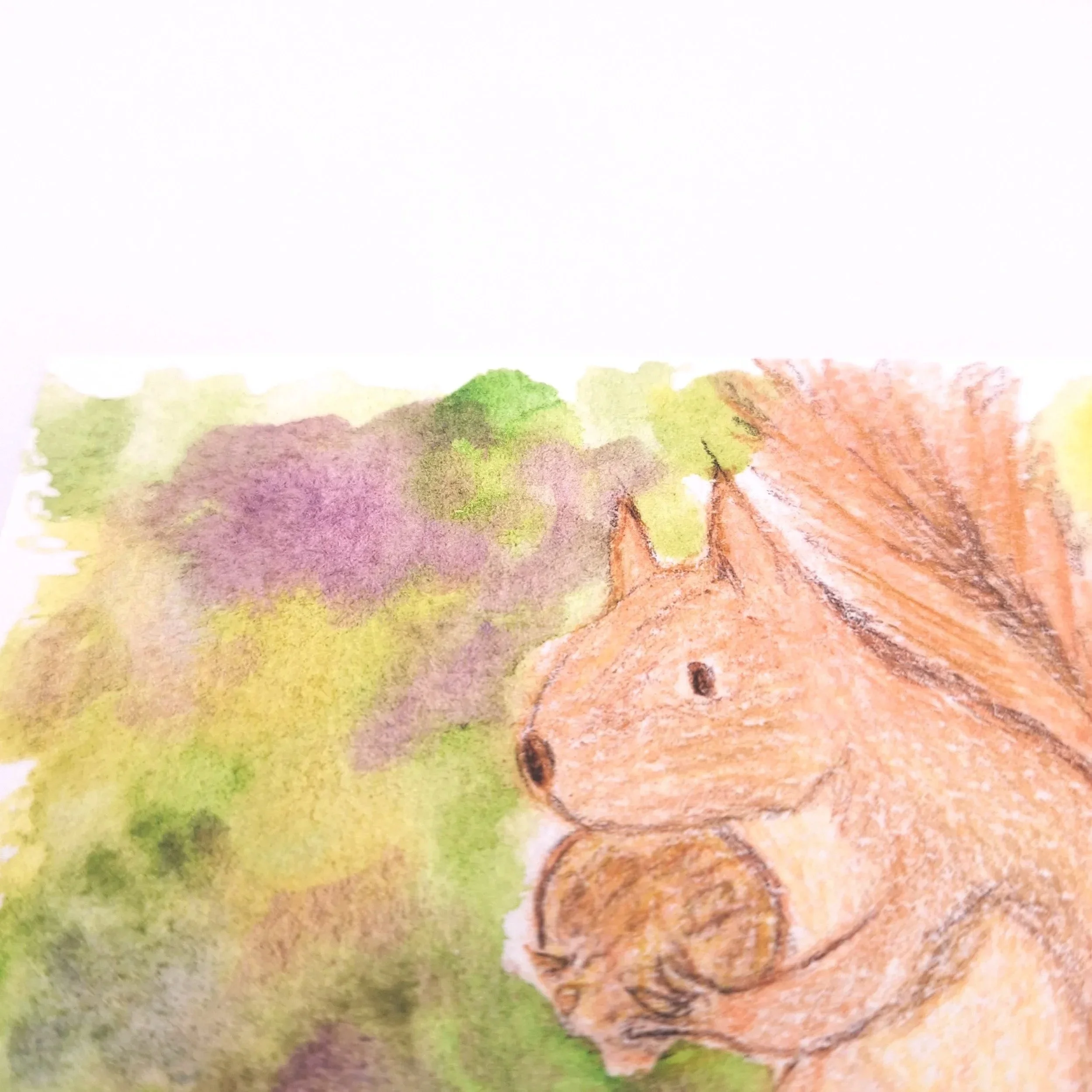 Forage in the Wild Patch – Original - Rachel & Sarah
