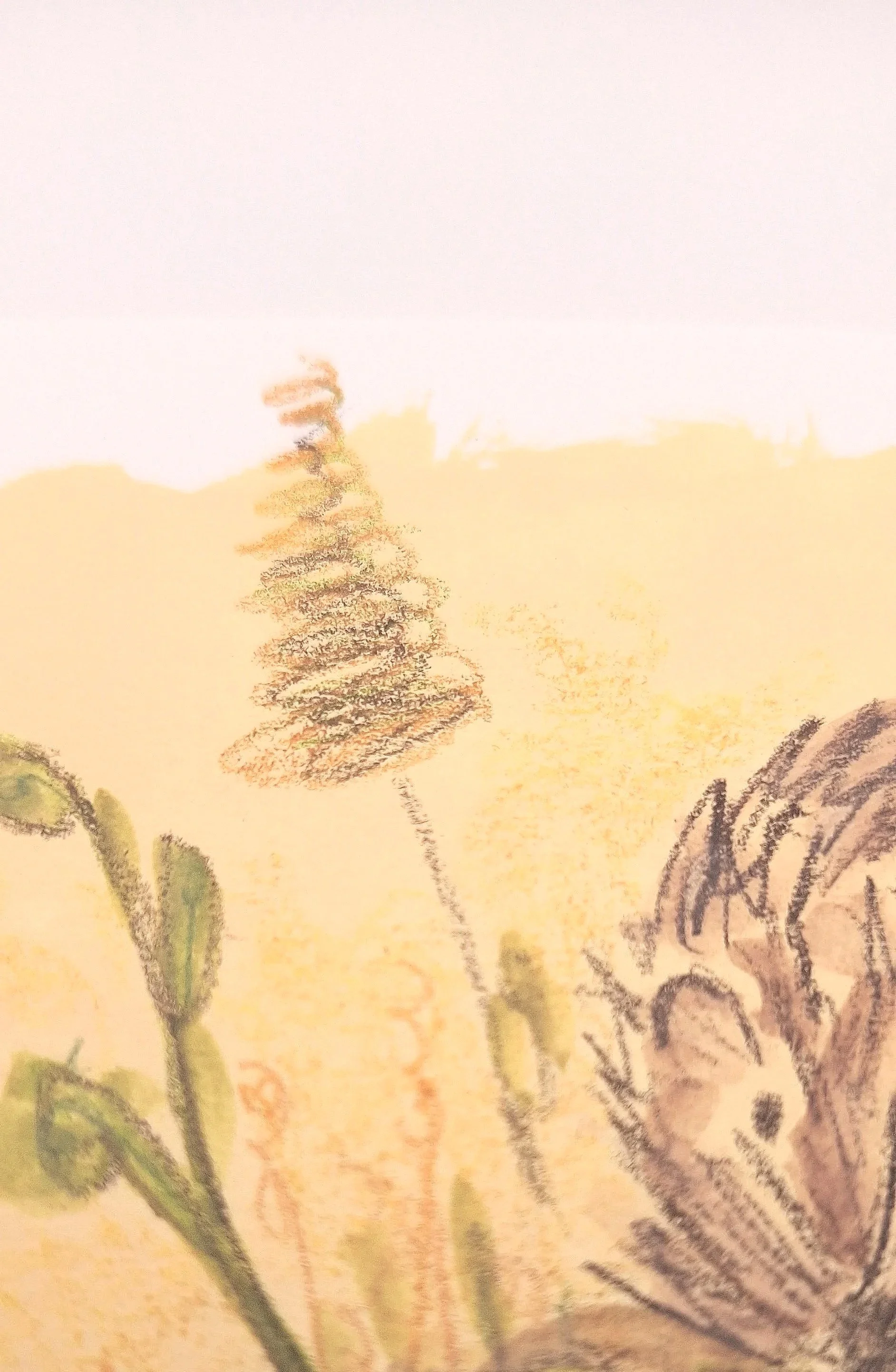 Nestled in the Meadow – Original - Rachel & Sarah