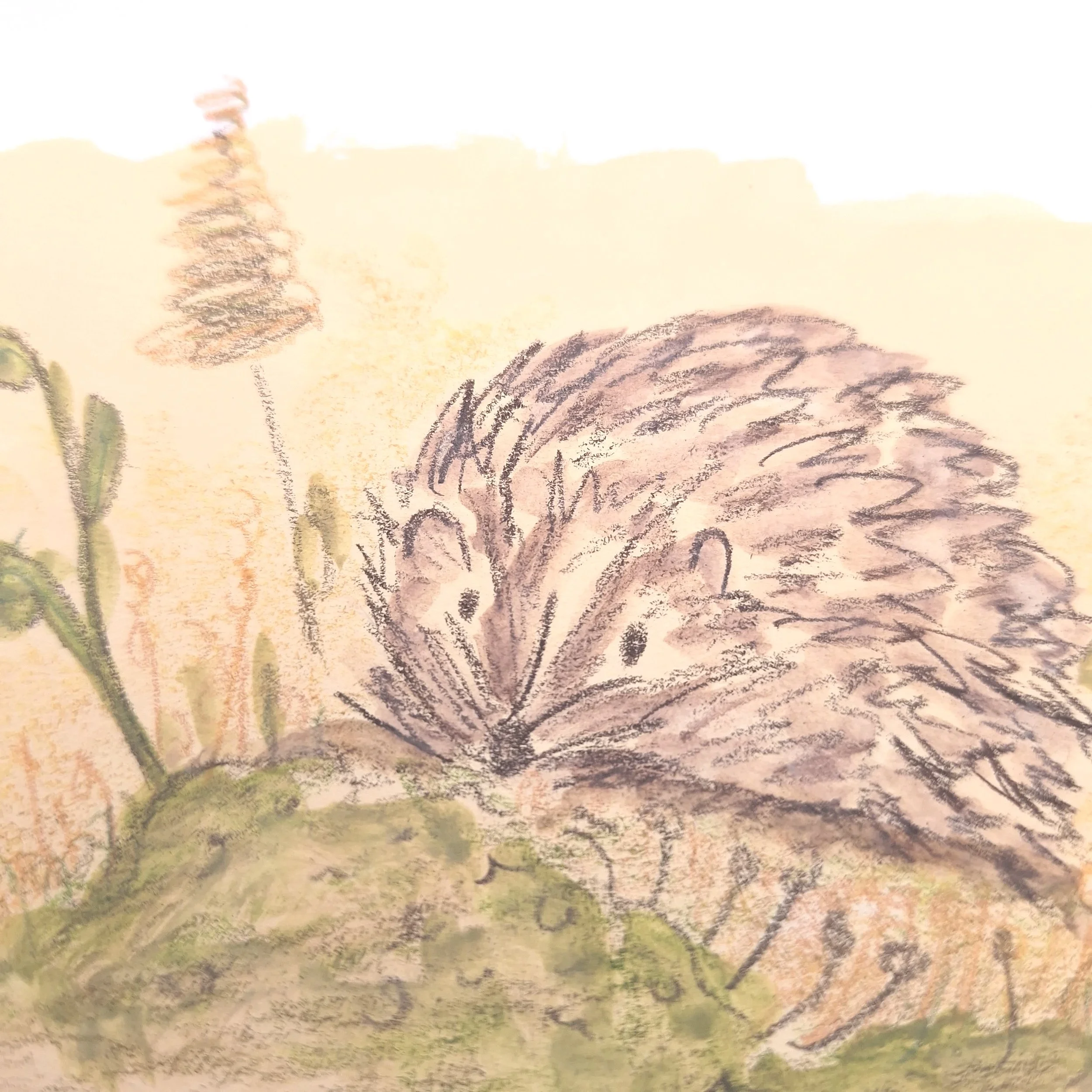 Nestled in the Meadow – Original - Rachel & Sarah