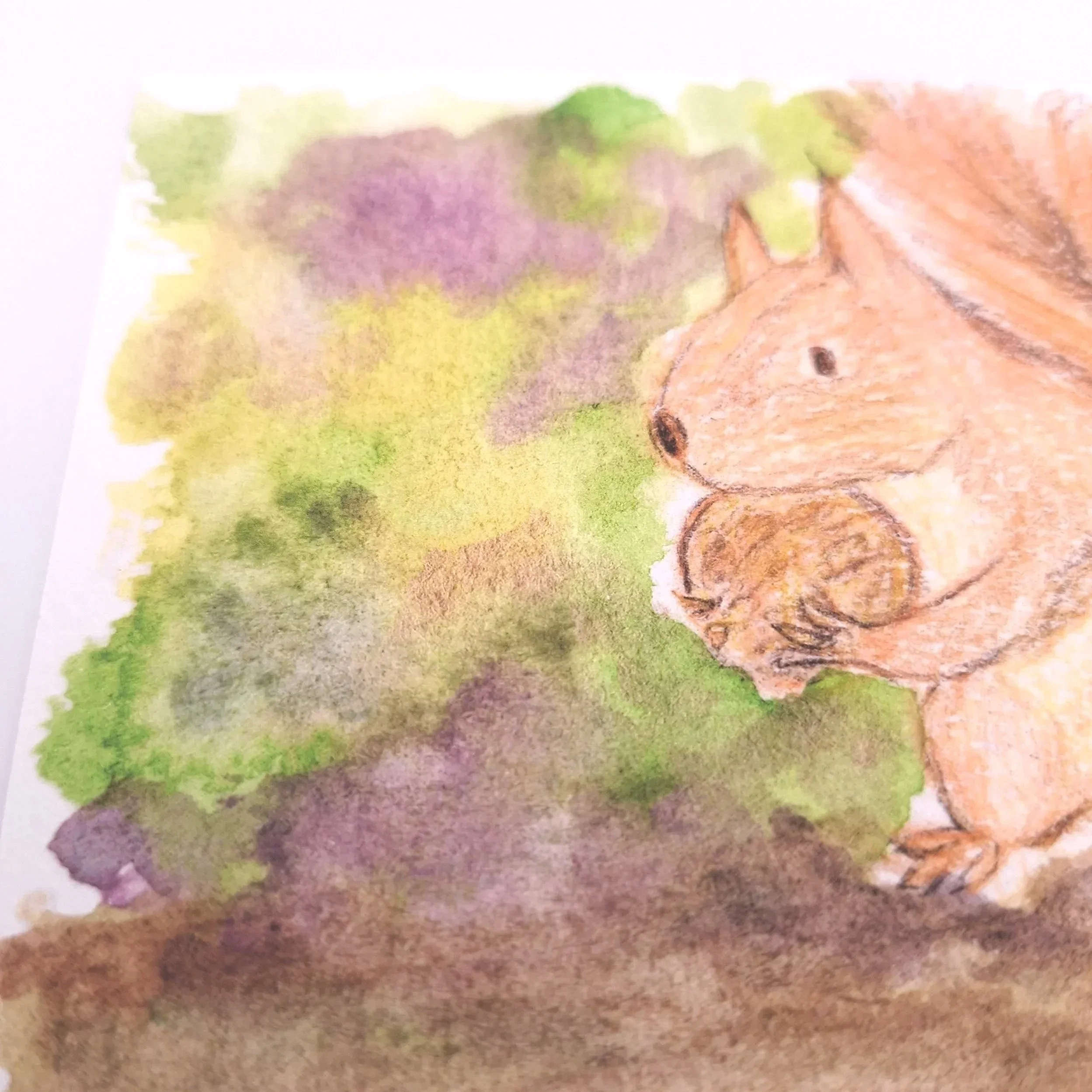 Forage in the Wild Patch – Original - Rachel & Sarah