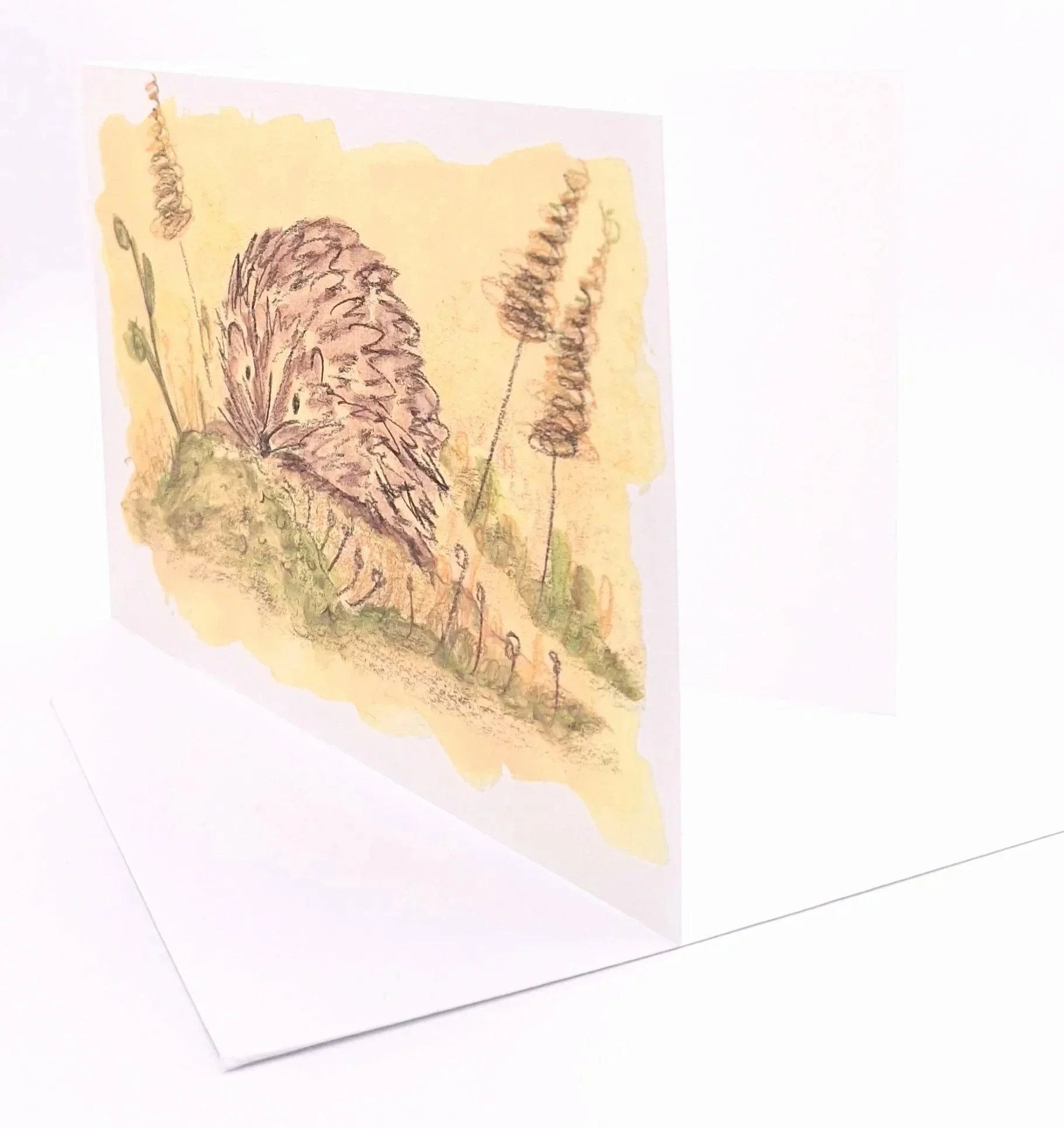 Greetings Card of "Nestled in the Meadow"
