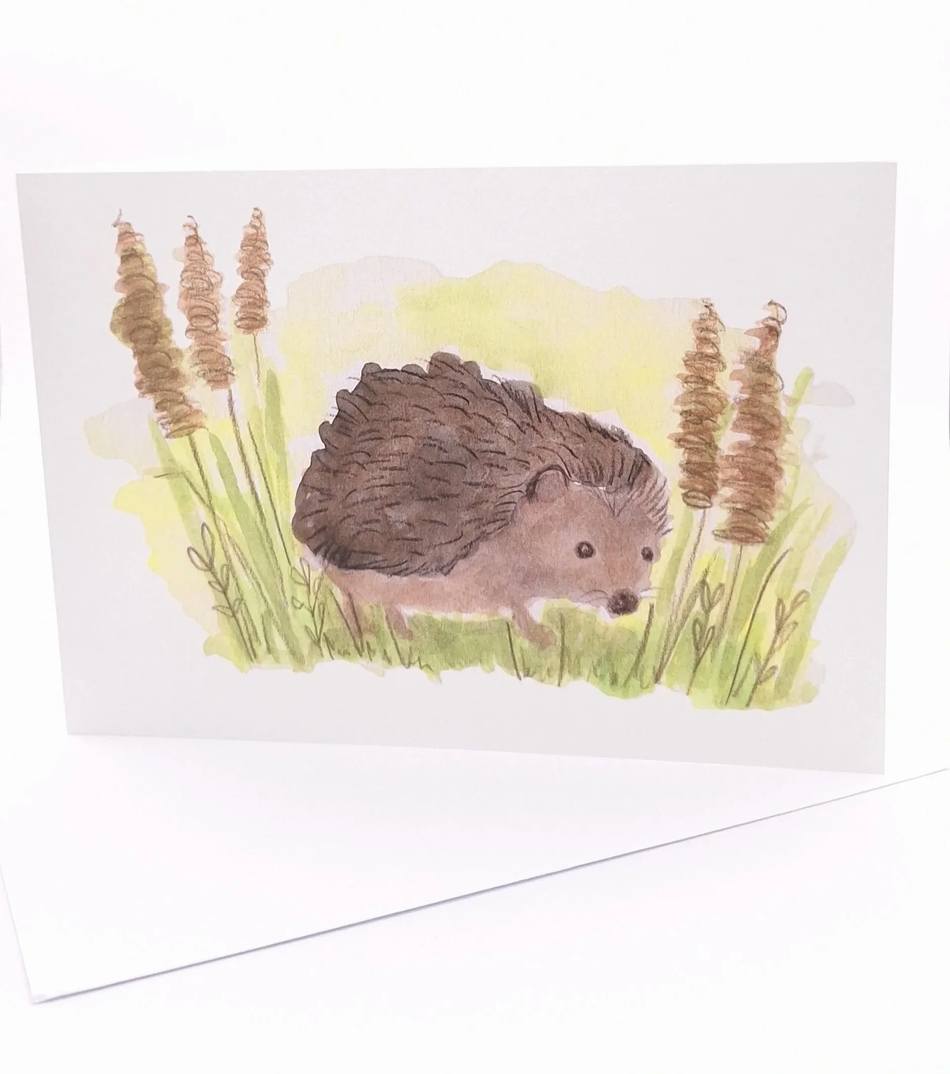 Greetings Card of "Bristles in the Long Grass" - Rachel & Sarah