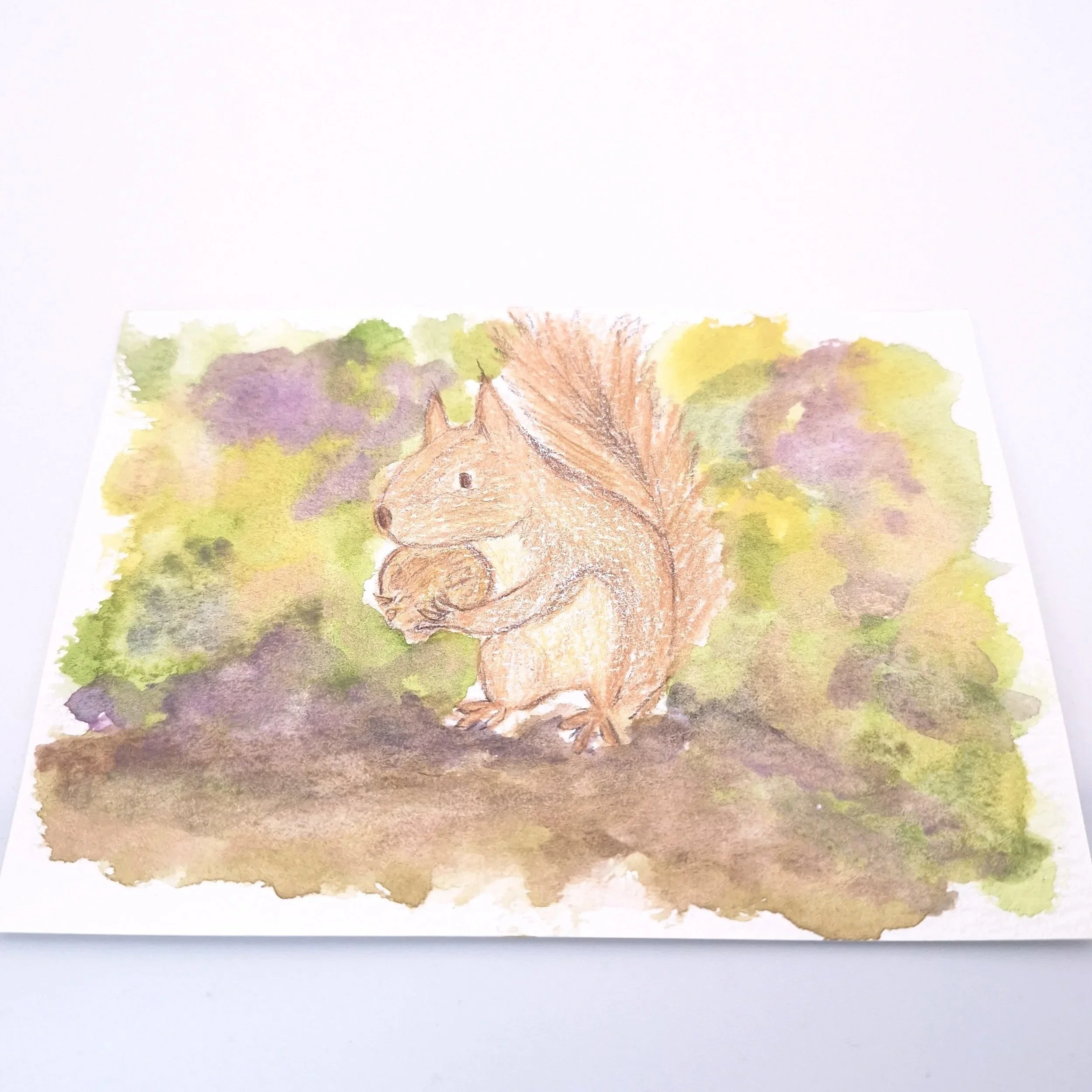 Forage in the Wild Patch – Original - Rachel & Sarah