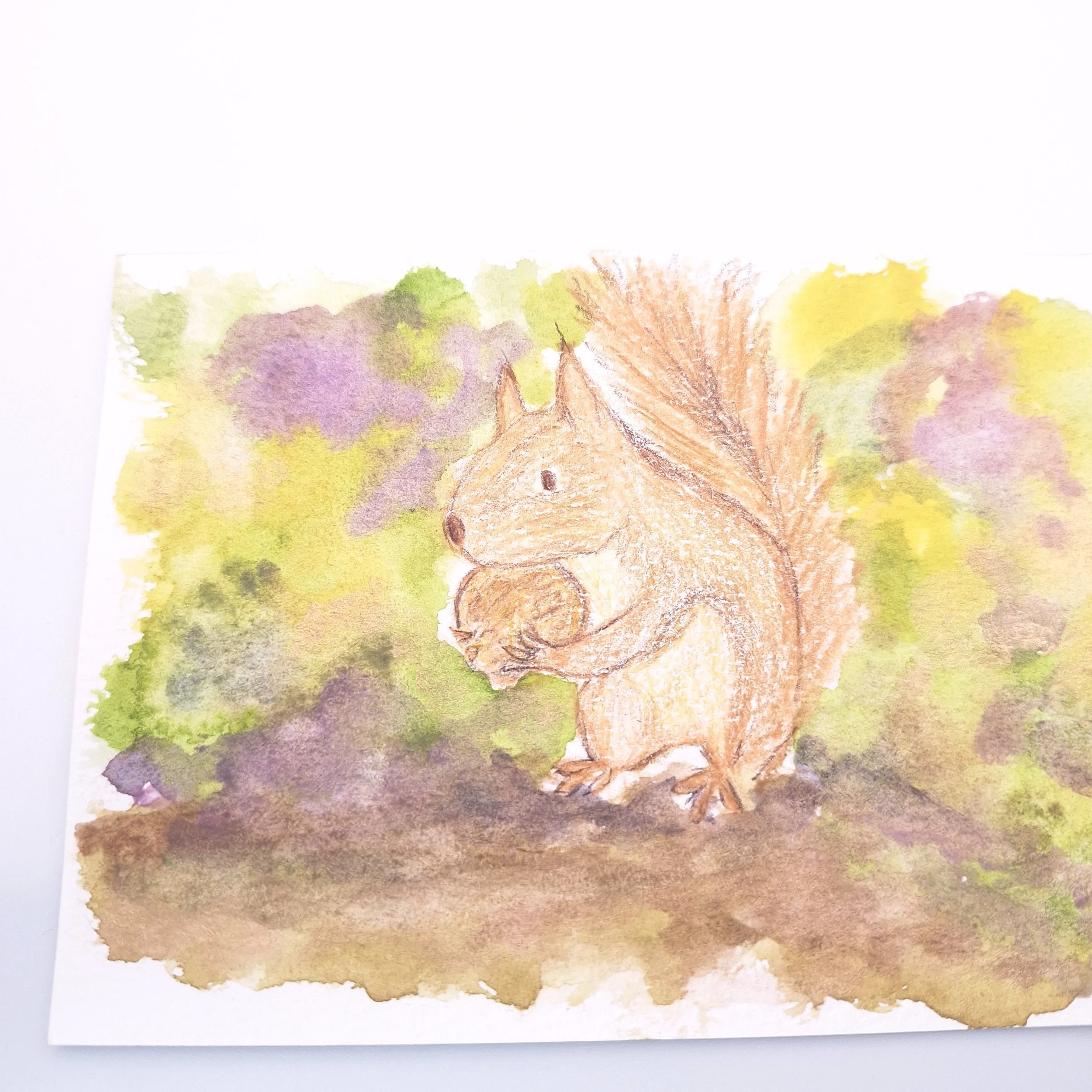 Forage in the Wild Patch – Original - Rachel & Sarah