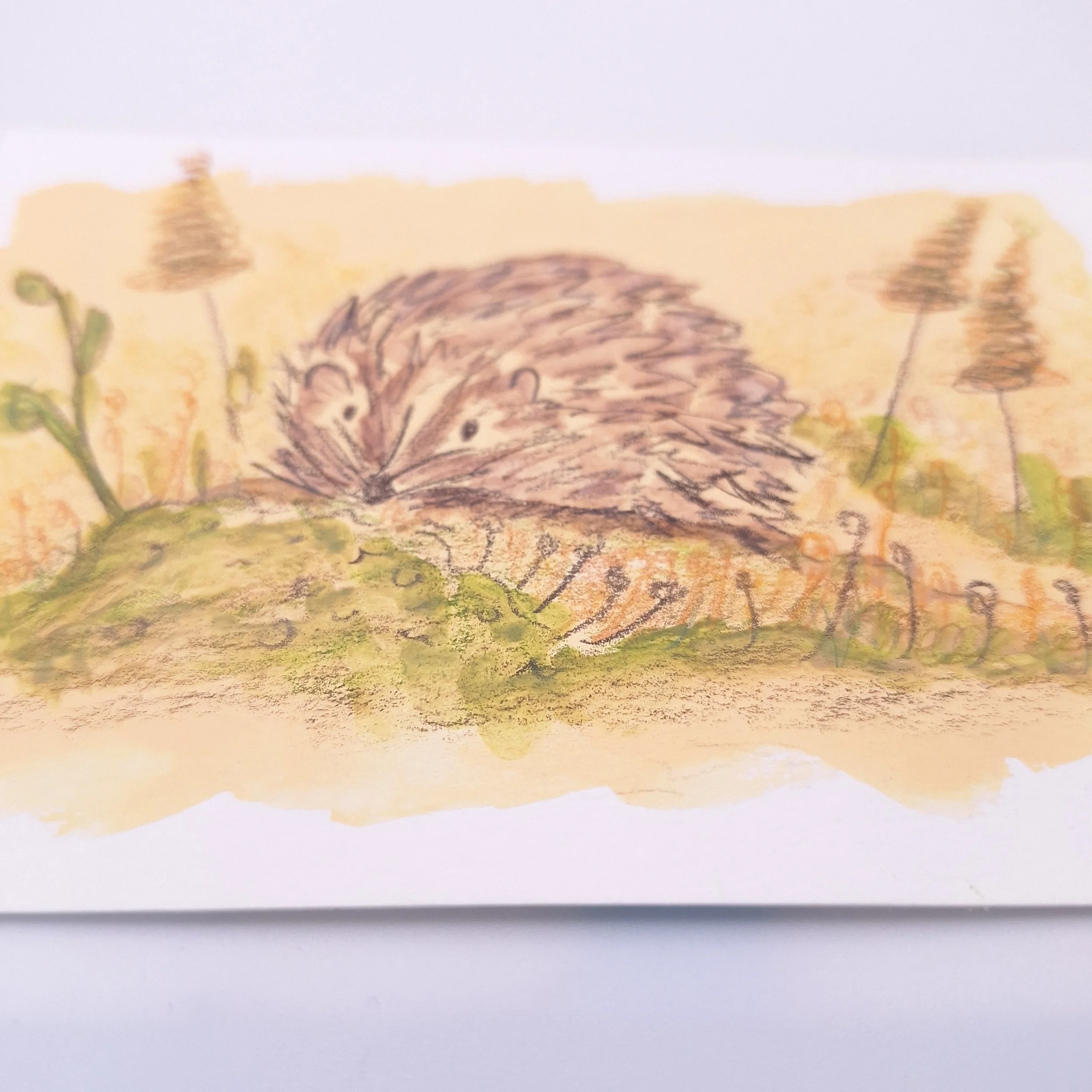 Nestled in the Meadow – Original