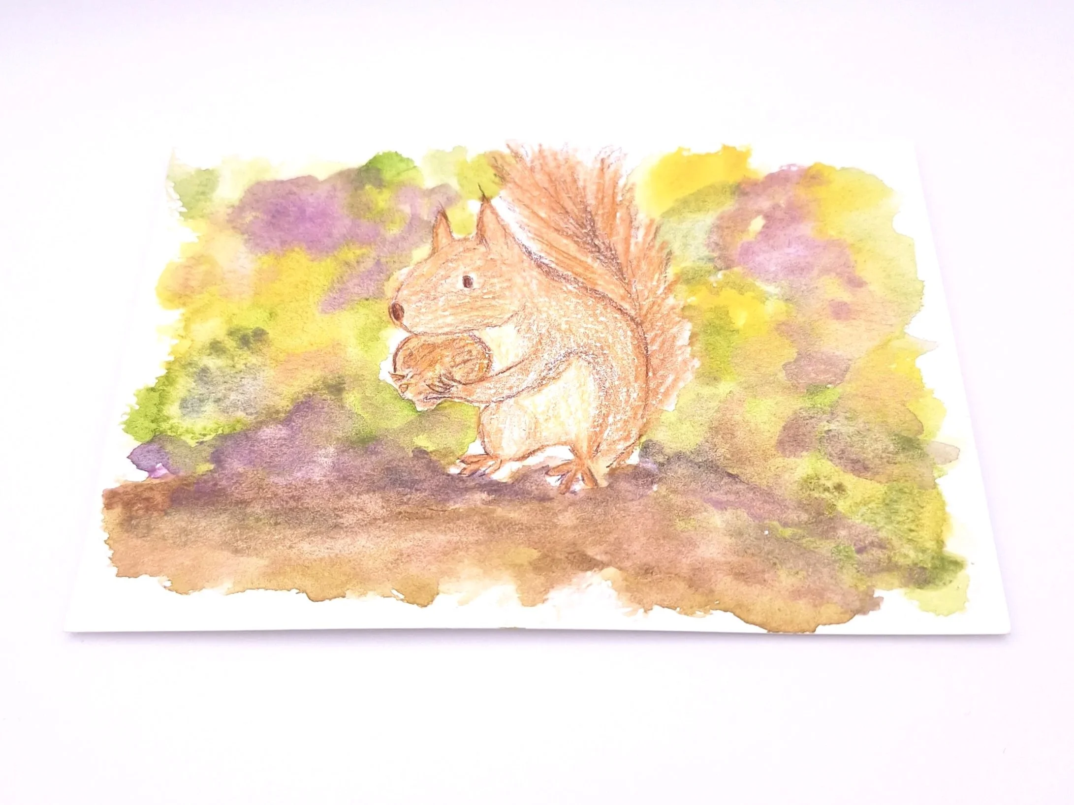 Forage in the Wild Patch – Original