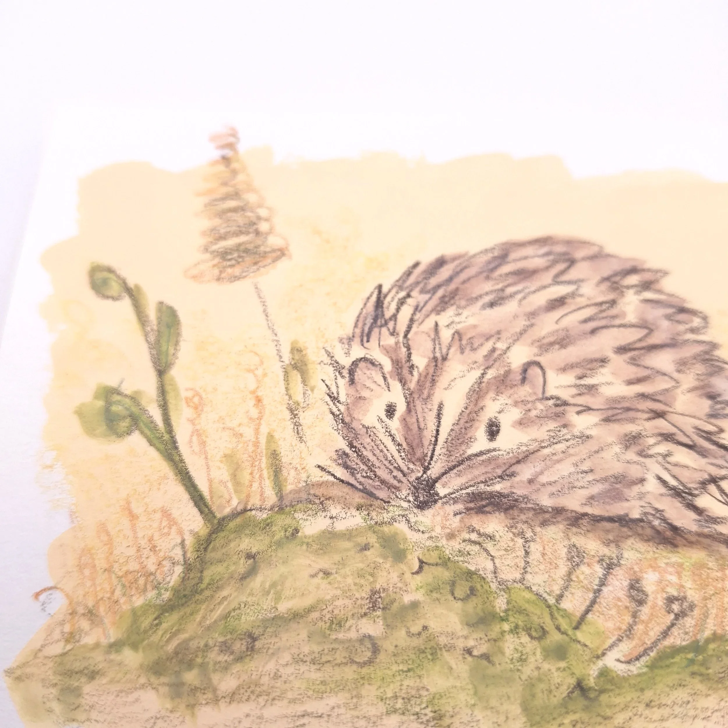 Nestled in the Meadow – Original - Rachel & Sarah