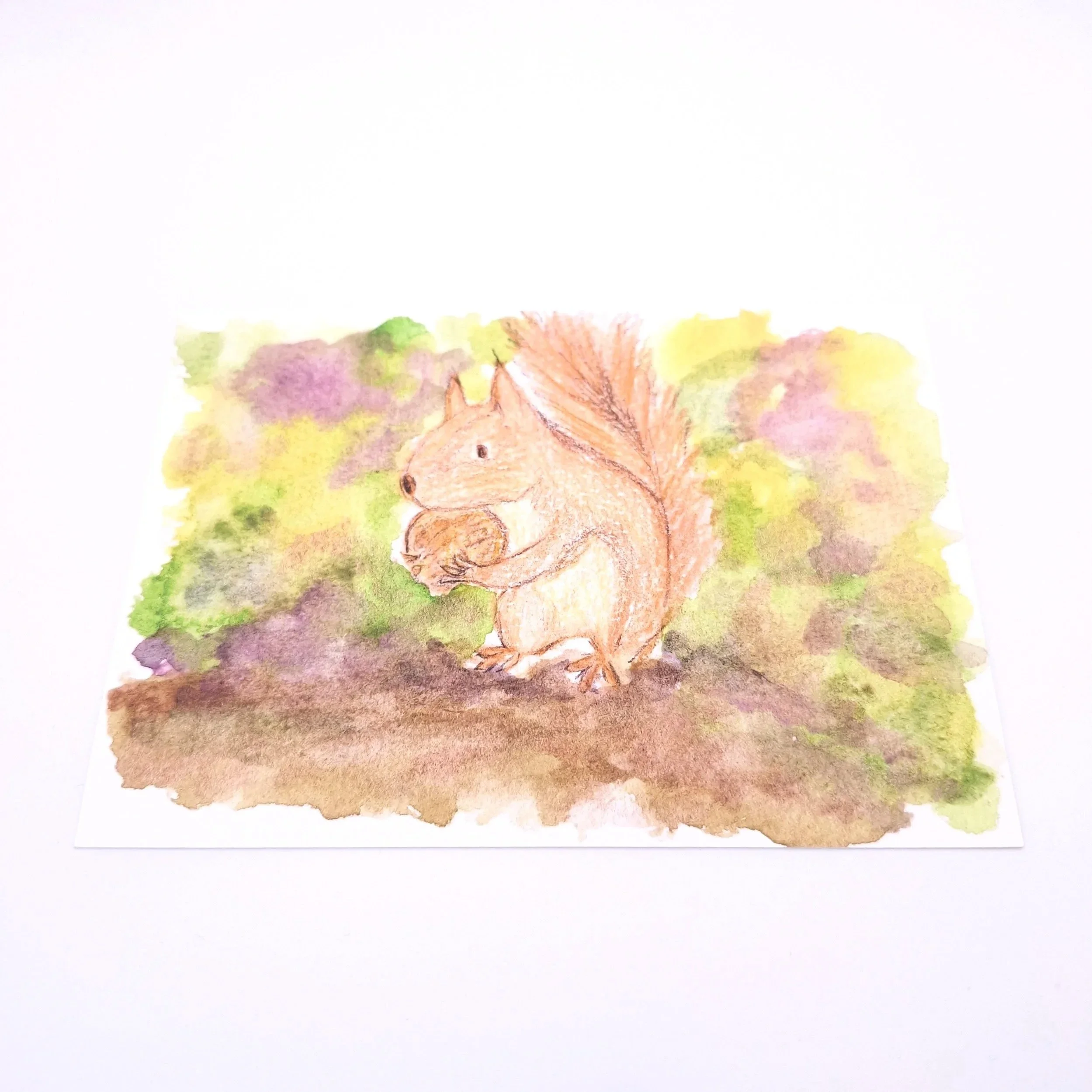 Forage in the Wild Patch – Original - Rachel & Sarah
