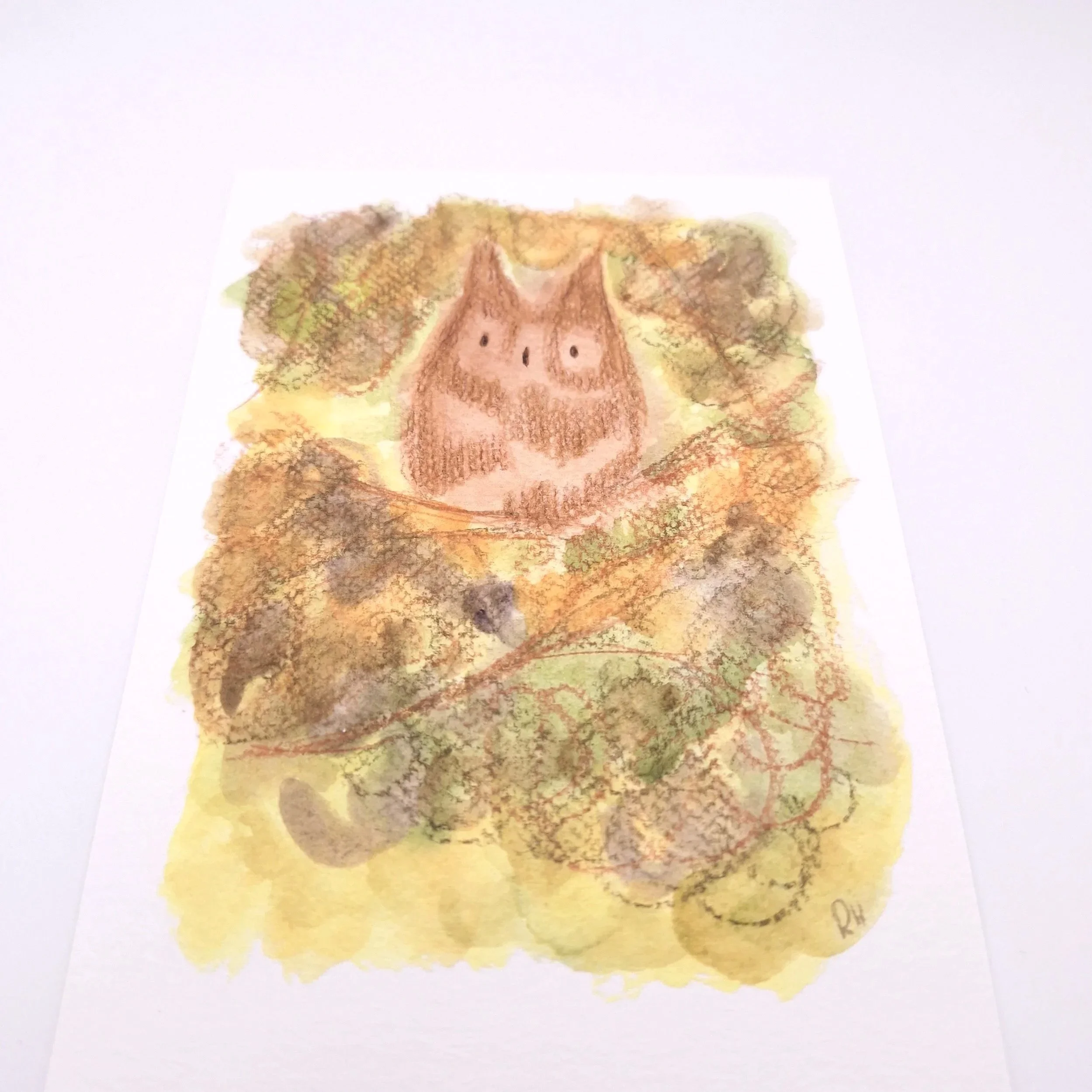 Gaze in the Moonlit Thicket – Original - Rachel & Sarah