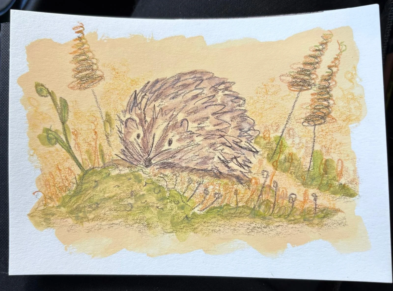 Nestled In The Meadow