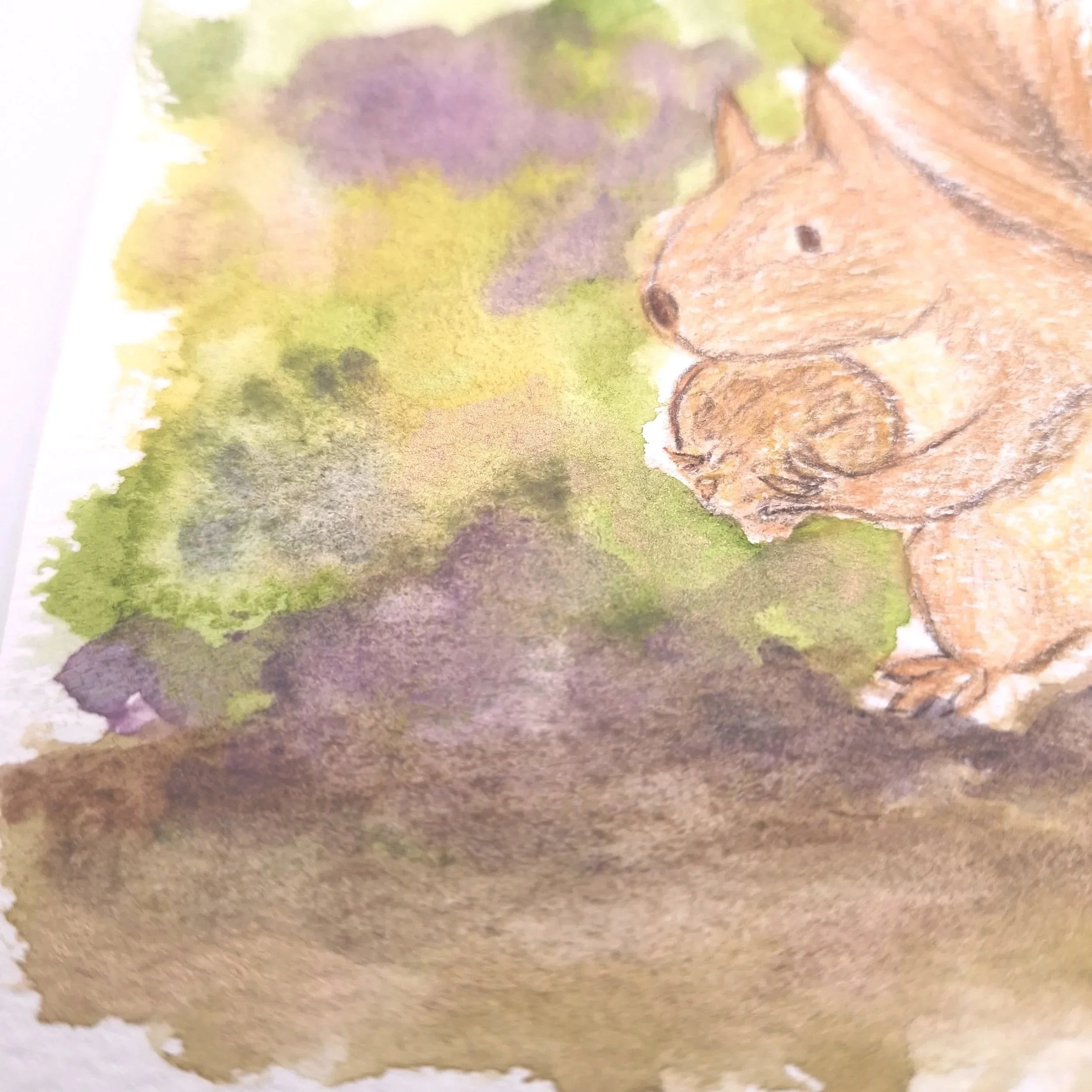 Forage in the Wild Patch – Original - Rachel & Sarah