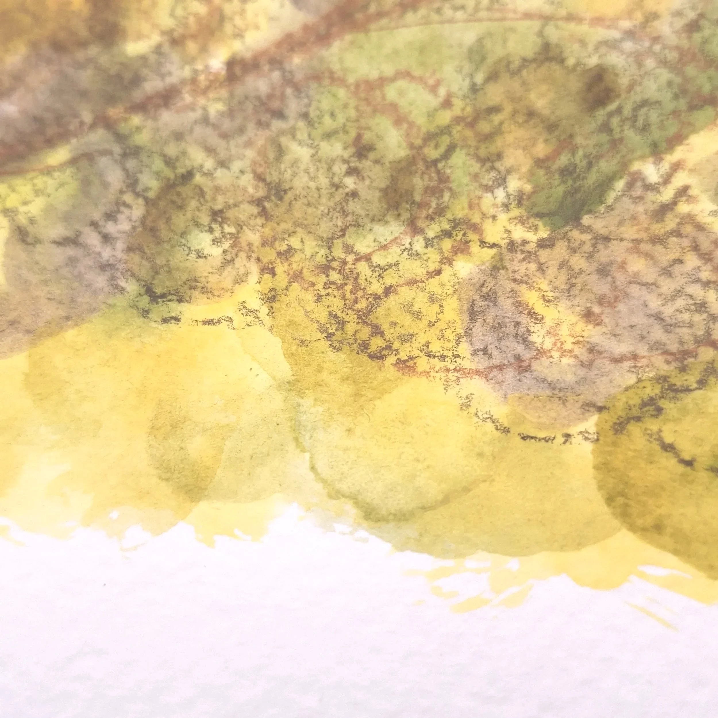 Gaze in the Moonlit Thicket – Original - Rachel & Sarah