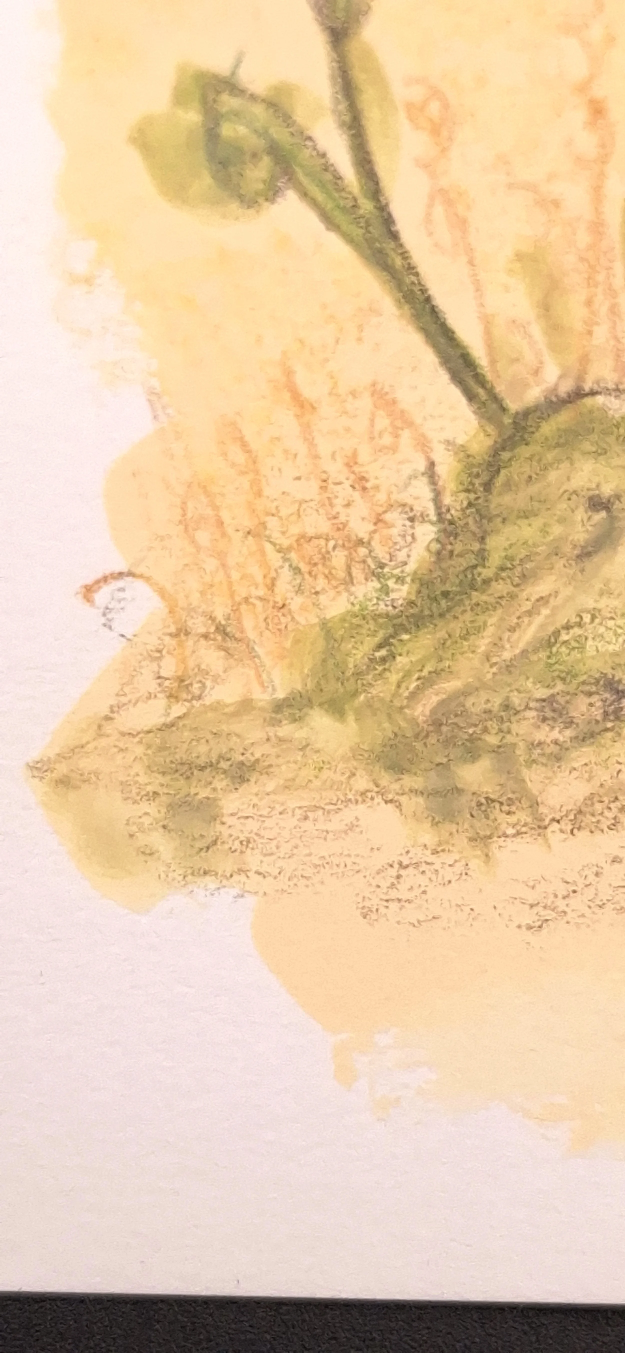 Nestled in the Meadow – Original - Rachel & Sarah
