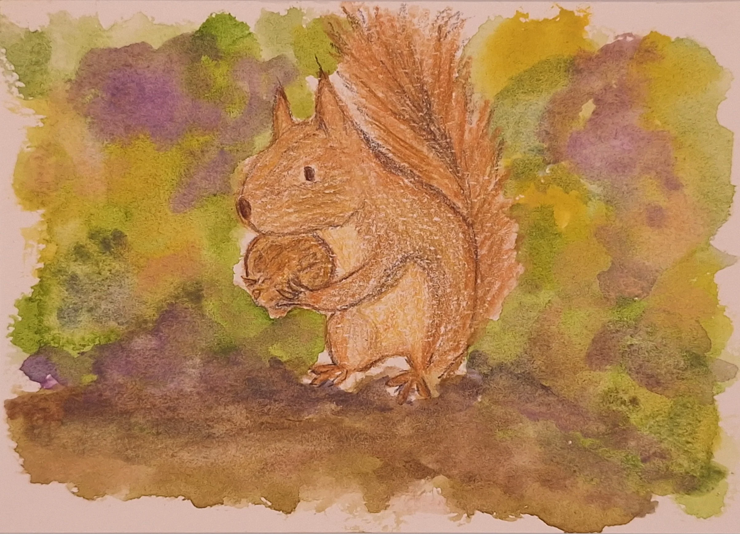 Forage In The Wild Patch