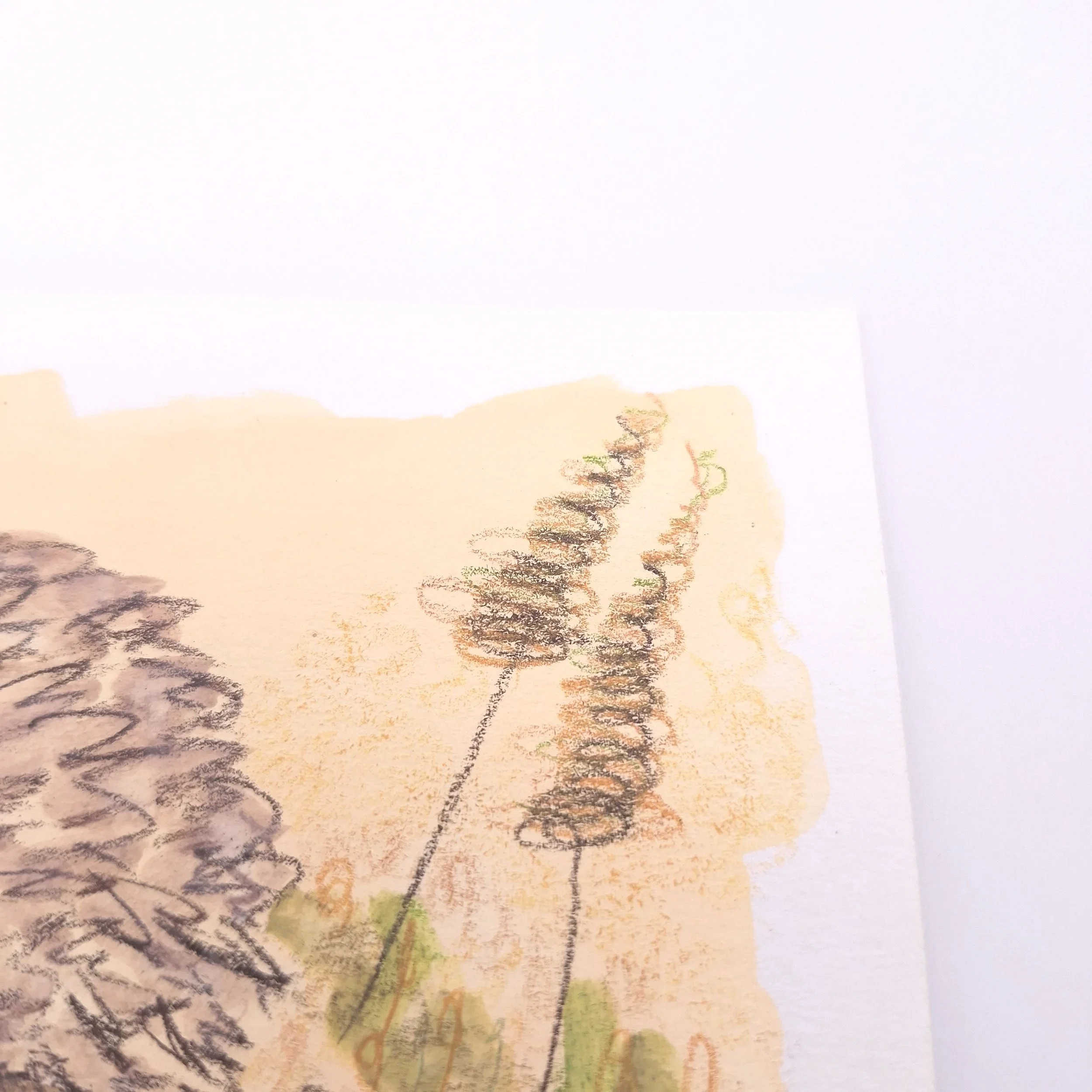 Nestled in the Meadow – Original - Rachel & Sarah