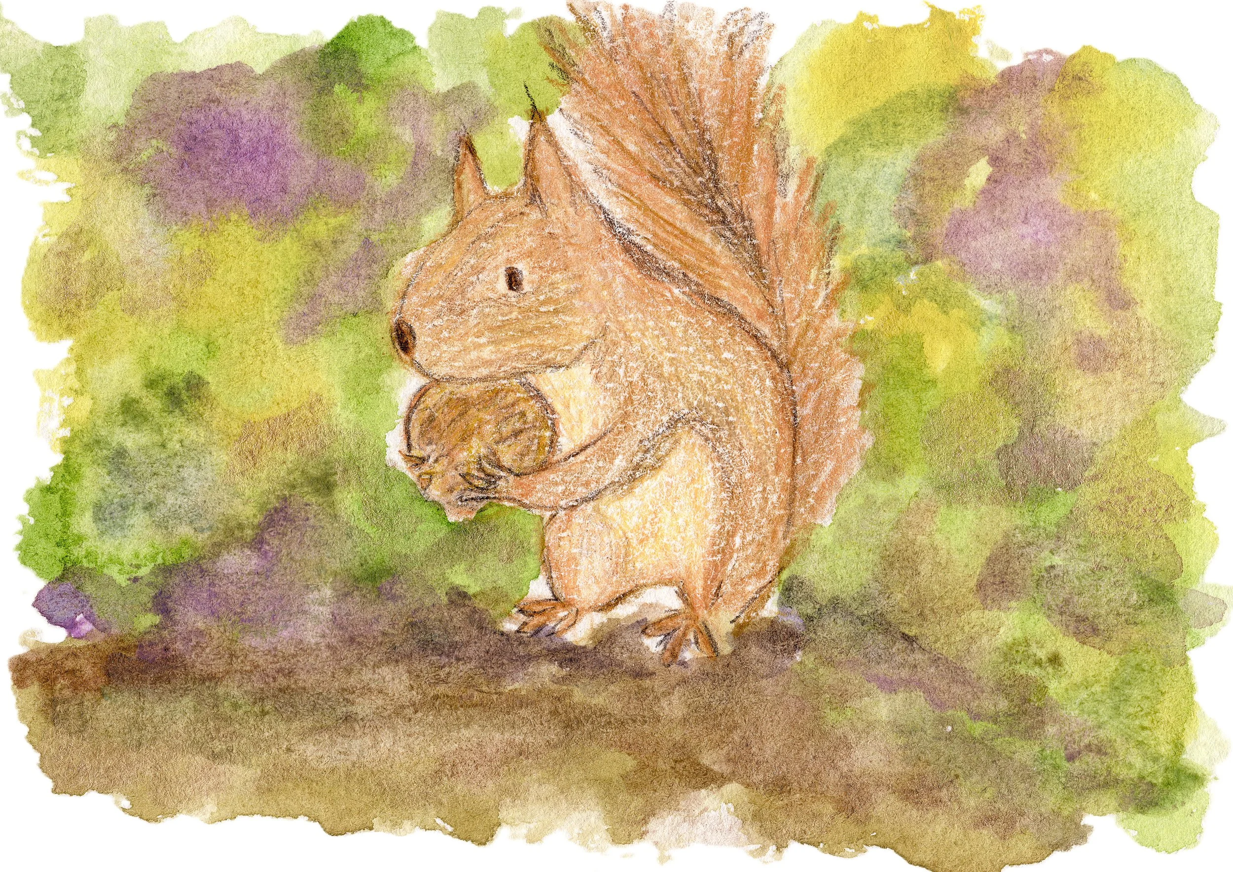 Print of "Forage In The Wild Patch"
