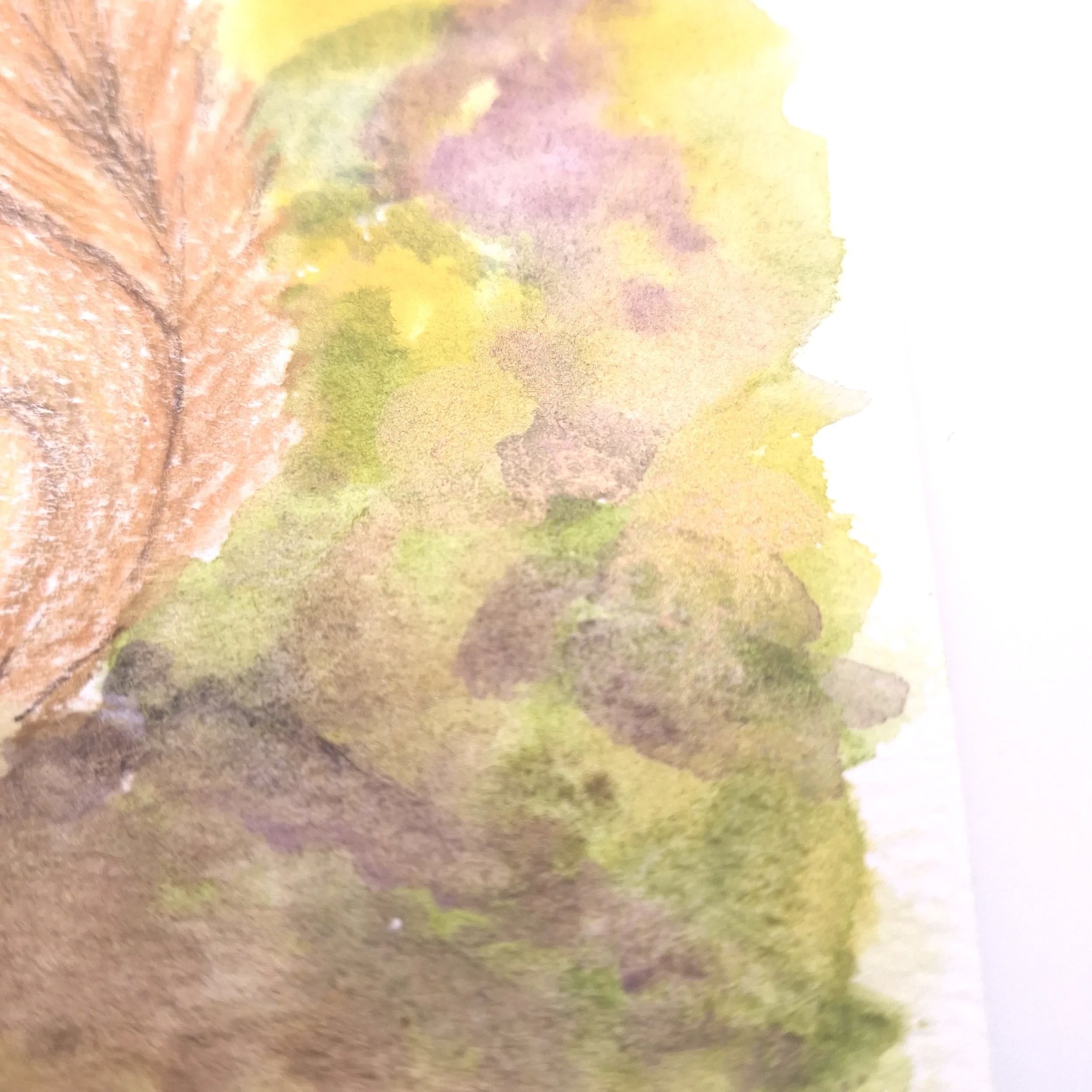 Forage in the Wild Patch – Original - Rachel & Sarah