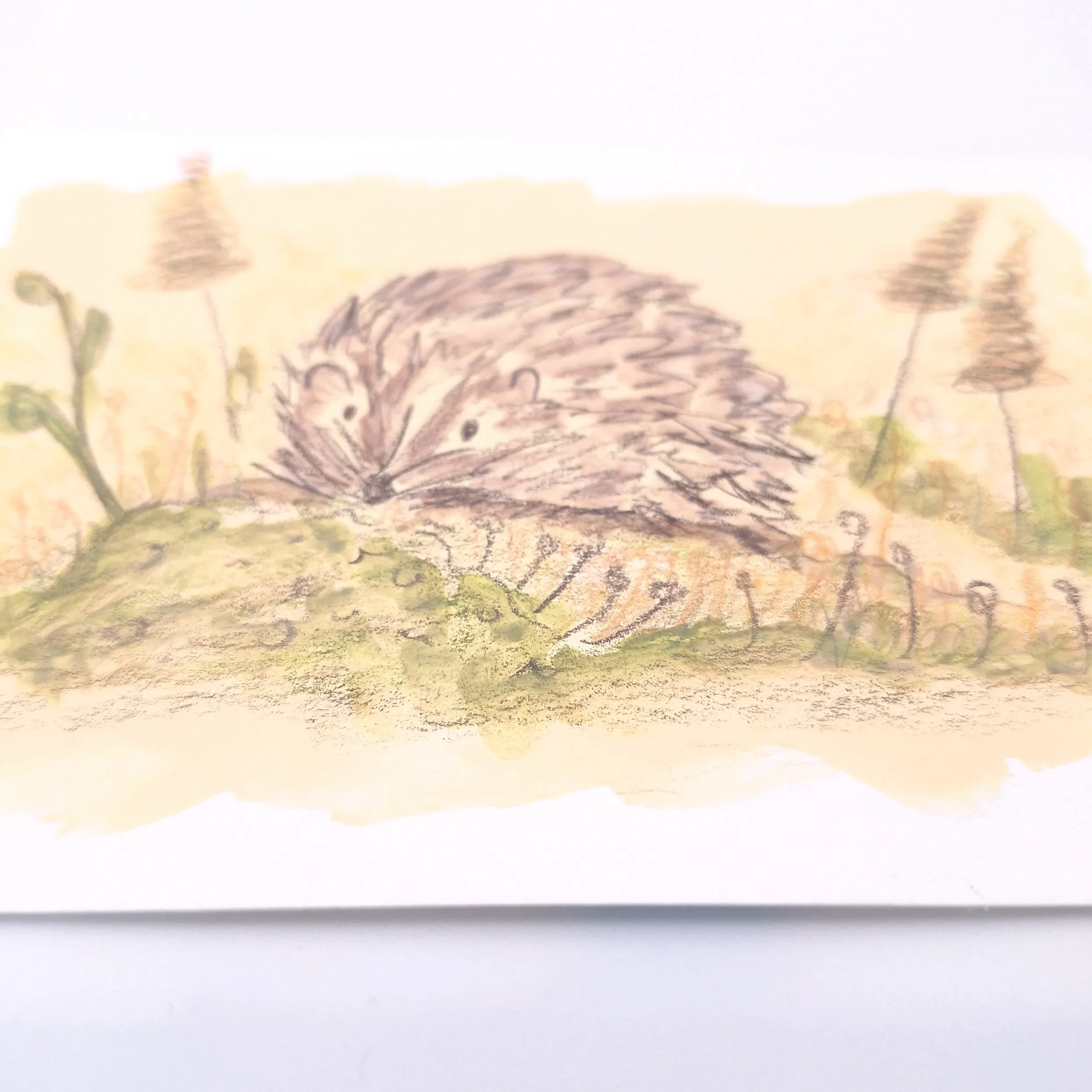 Nestled in the Meadow – Original - Rachel & Sarah