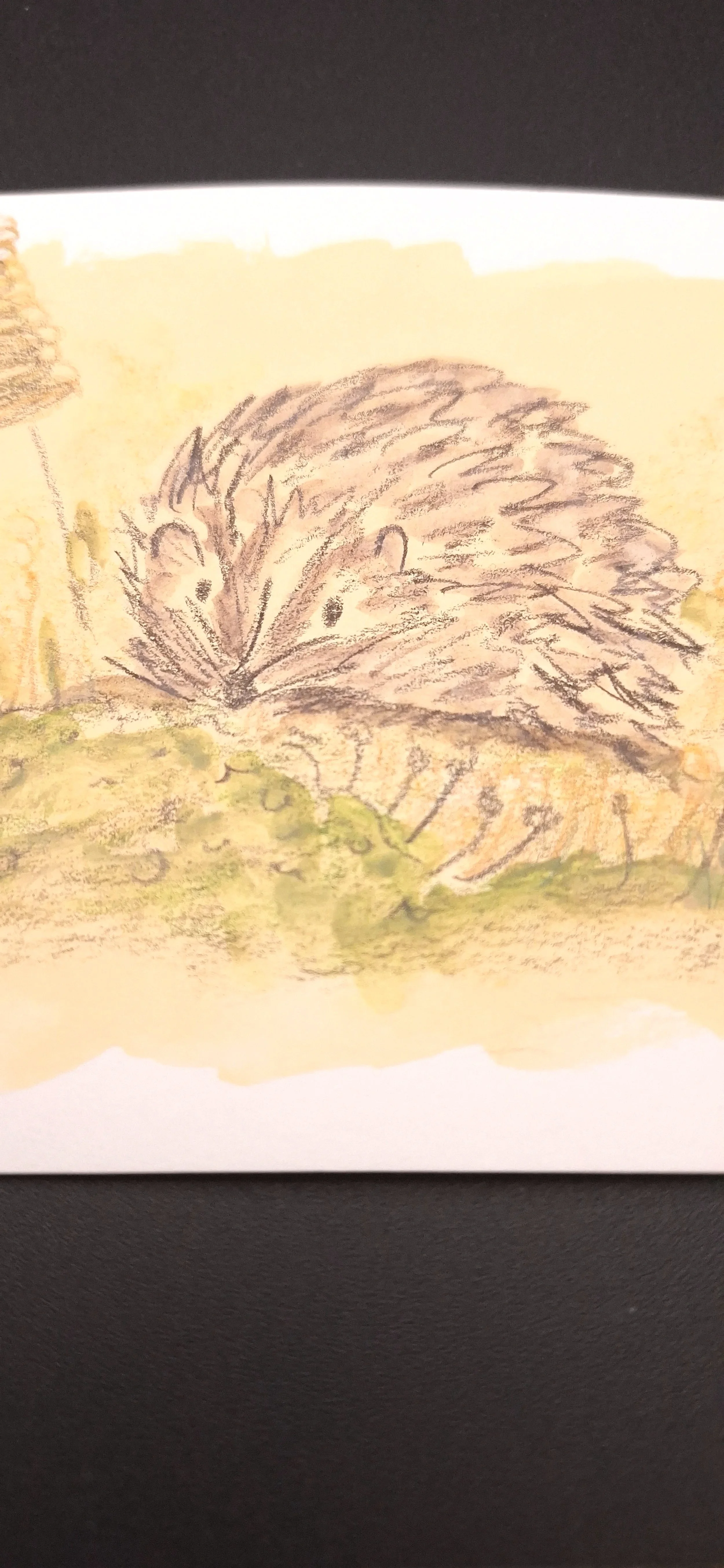 Nestled in the Meadow – Original - Rachel & Sarah