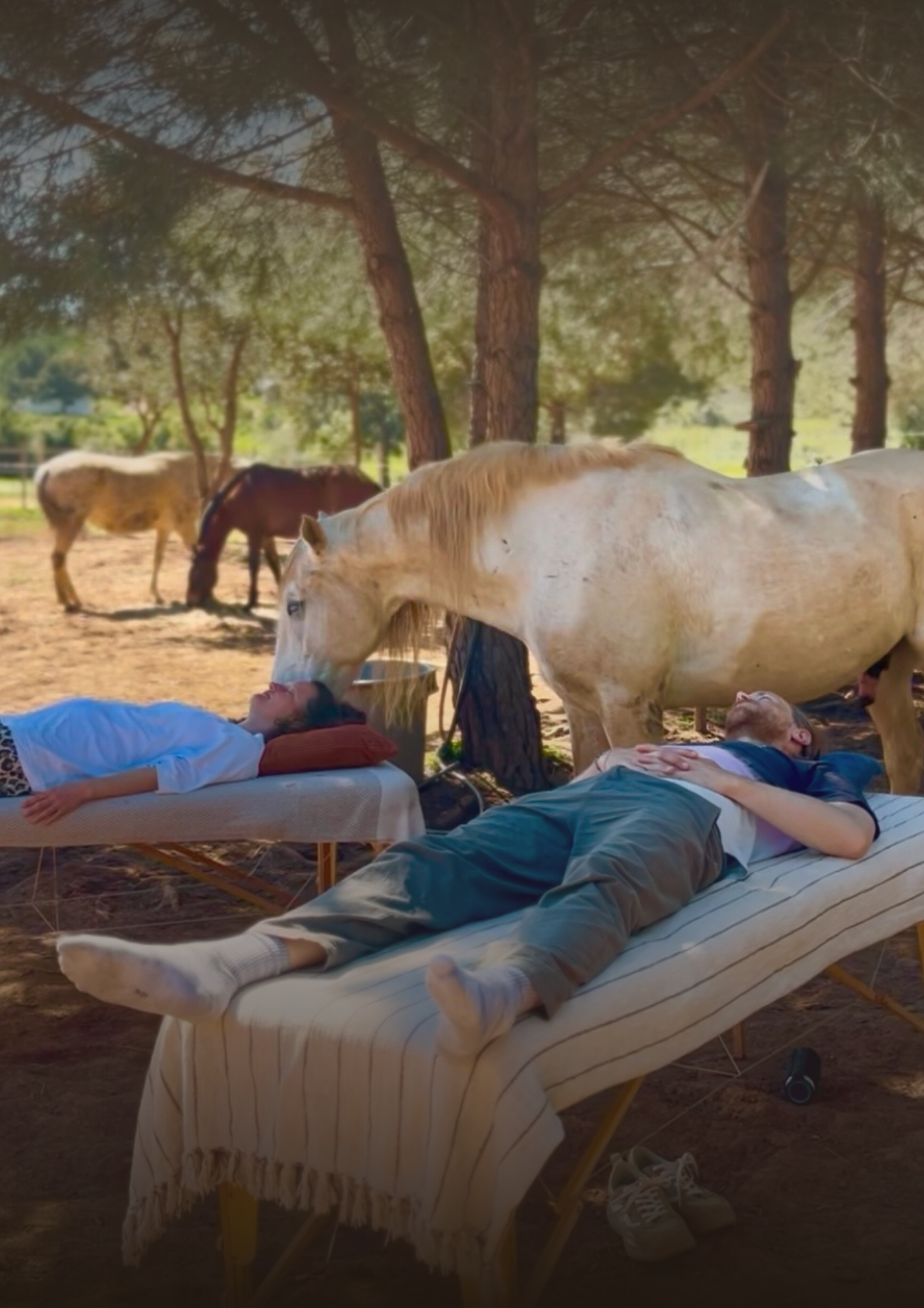 ✨ Energy Work Couple & Horses