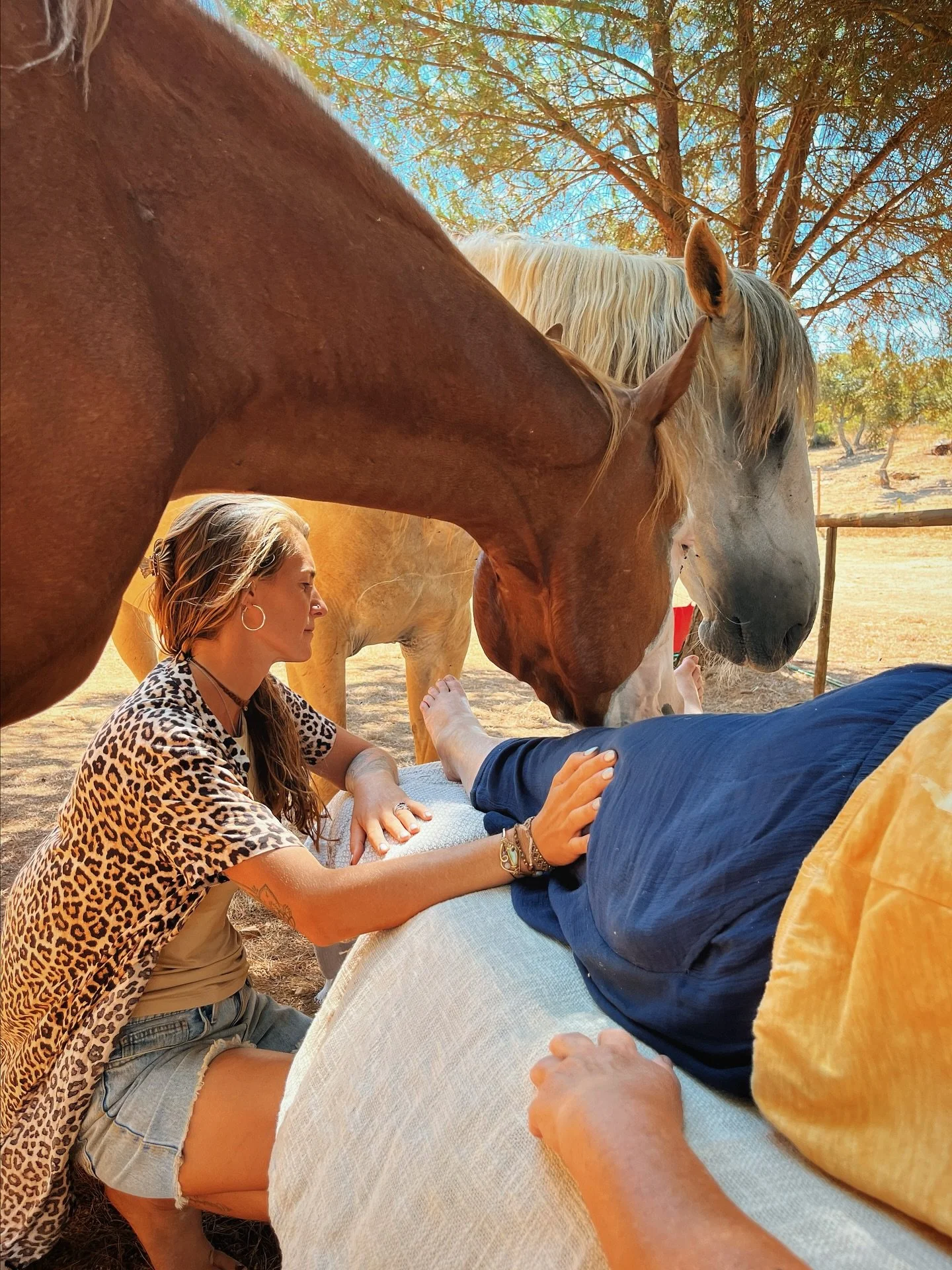 When we meet a horse, our body responds before our mind can find words. The steady, deep breath of the animal, its heartbeat like distant drumbeats, sends a silent invitation to our nervous system: You may let go. Muscle tension melts, breathing deep