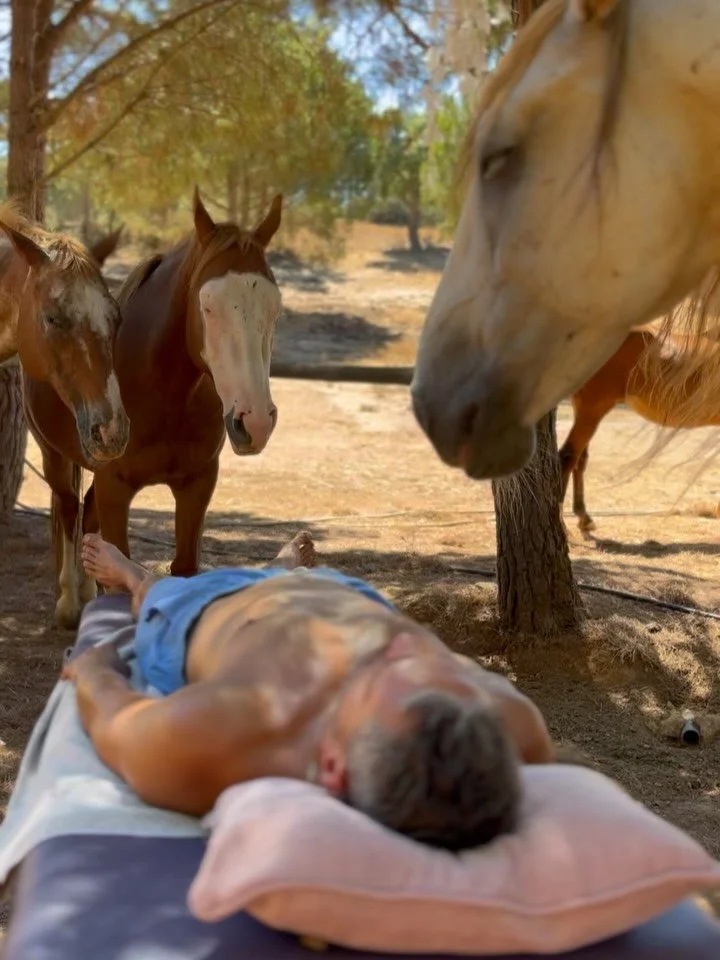 ✨ Reiki regulates the nervous system, shifting the body from the sympathetic nervous system (fight-or-flight) into the parasympathetic nervous system (rest-and-digest). In this state, tension melts away and natural healing can begin. 

This shift pro