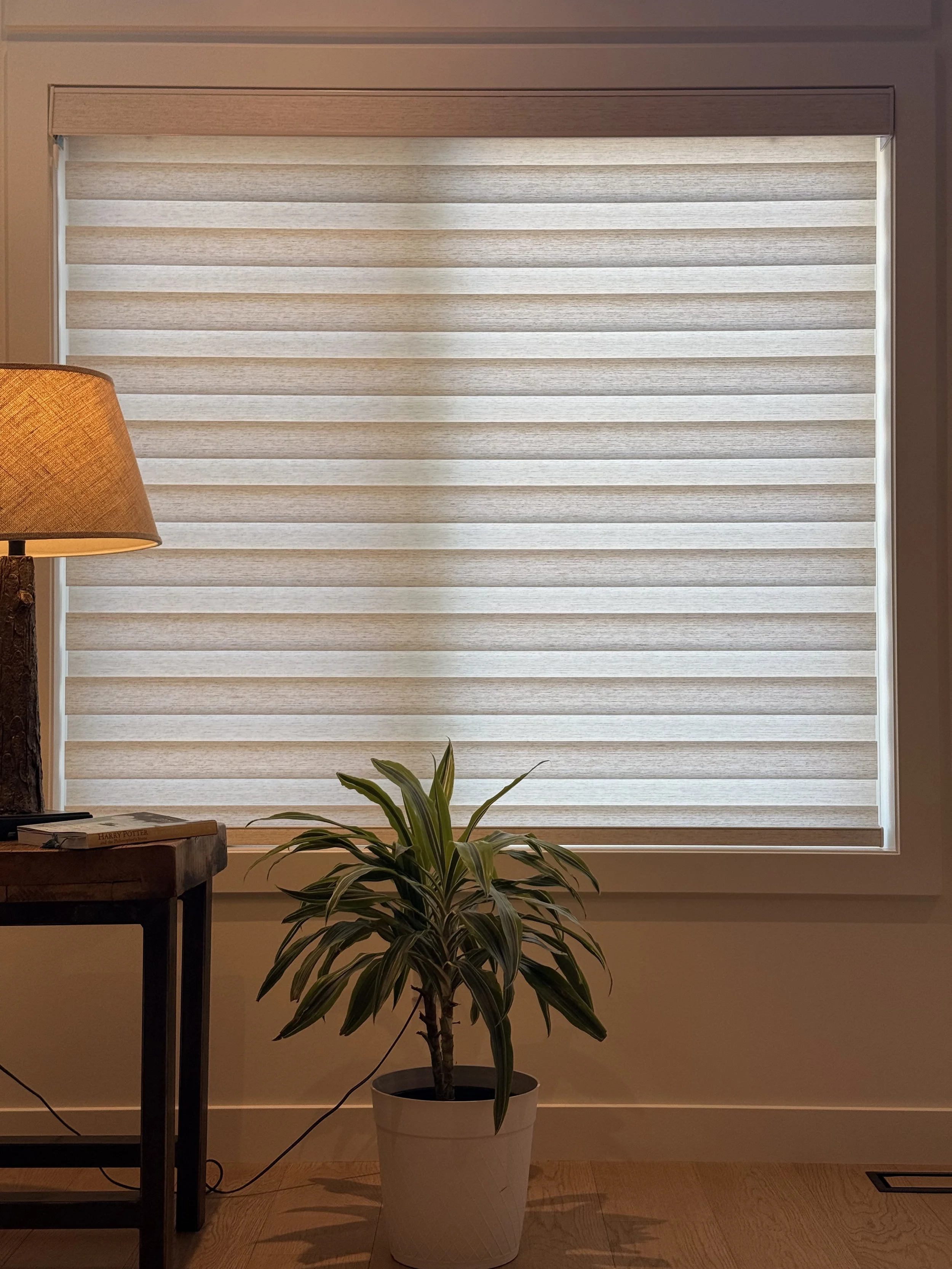 A window with beige horizontal zebra blinds, a wooden side table with a lamp and books, and a potted green plant on the floor. Located in Banff, Alberta.