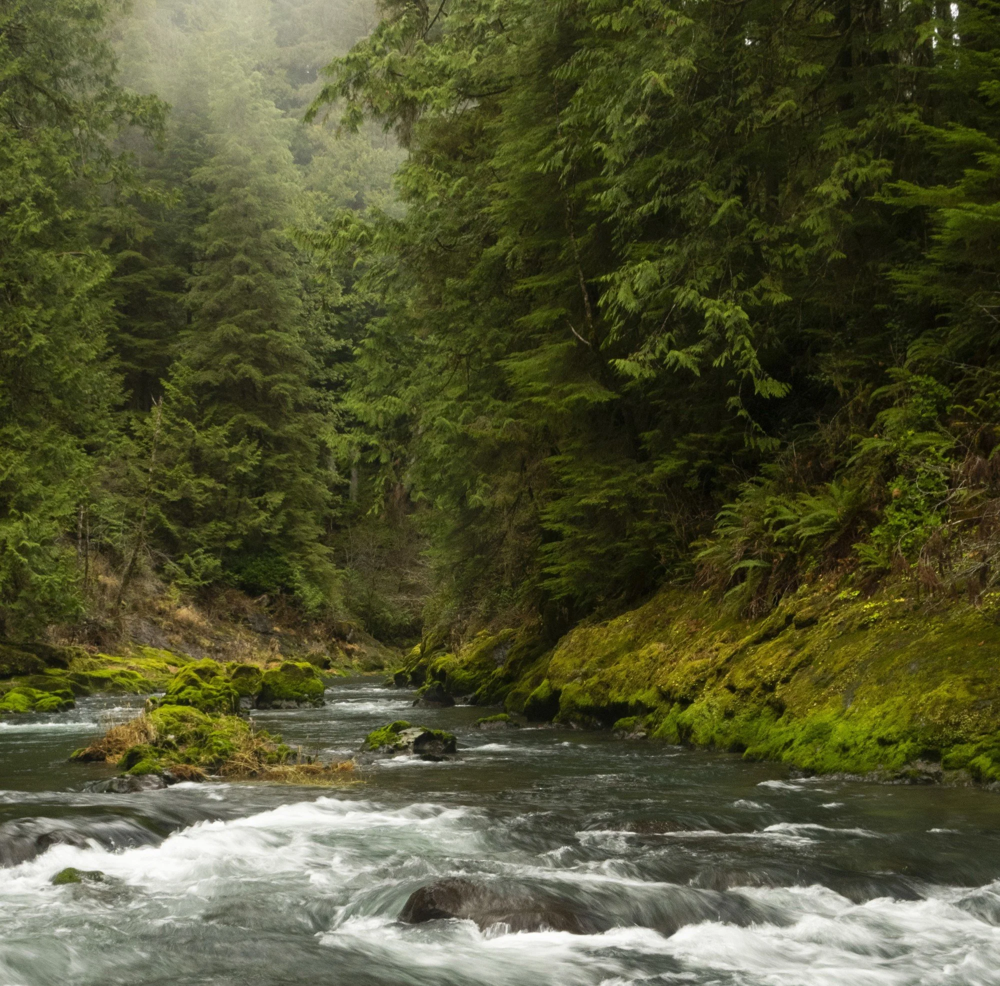 Review by Nathaniel P. Hitt for “A Reverence For Rivers”