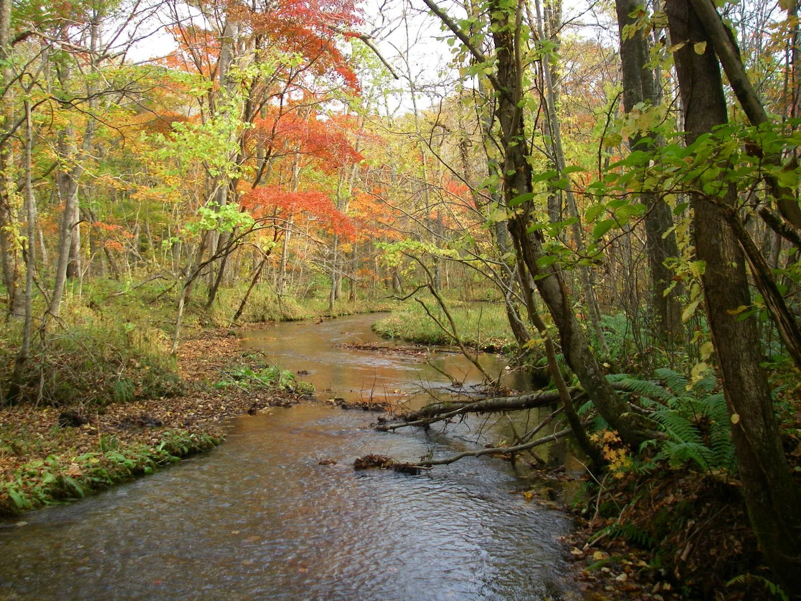 Touchstones for Life: the Sigurd Olson Nature Writing Award
