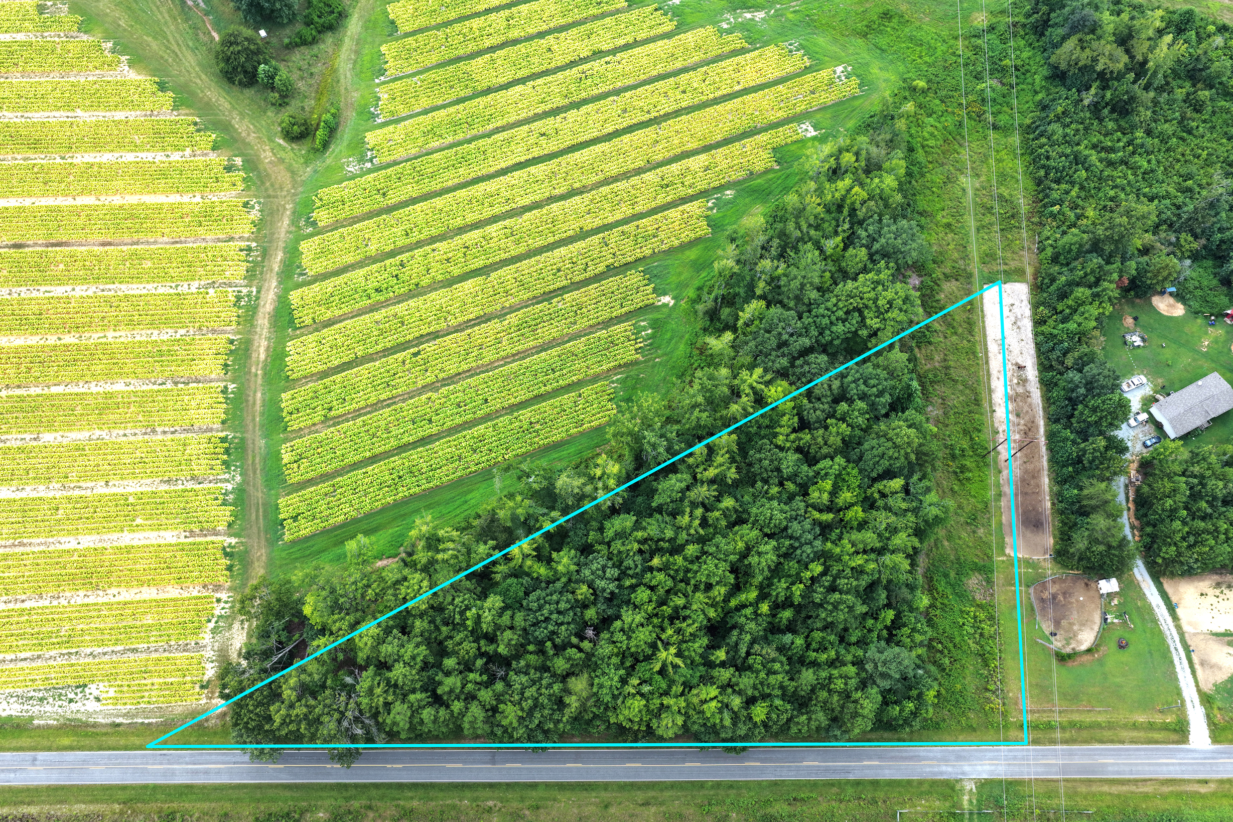 DJI_20250802143322_0092_D-PropLine.png