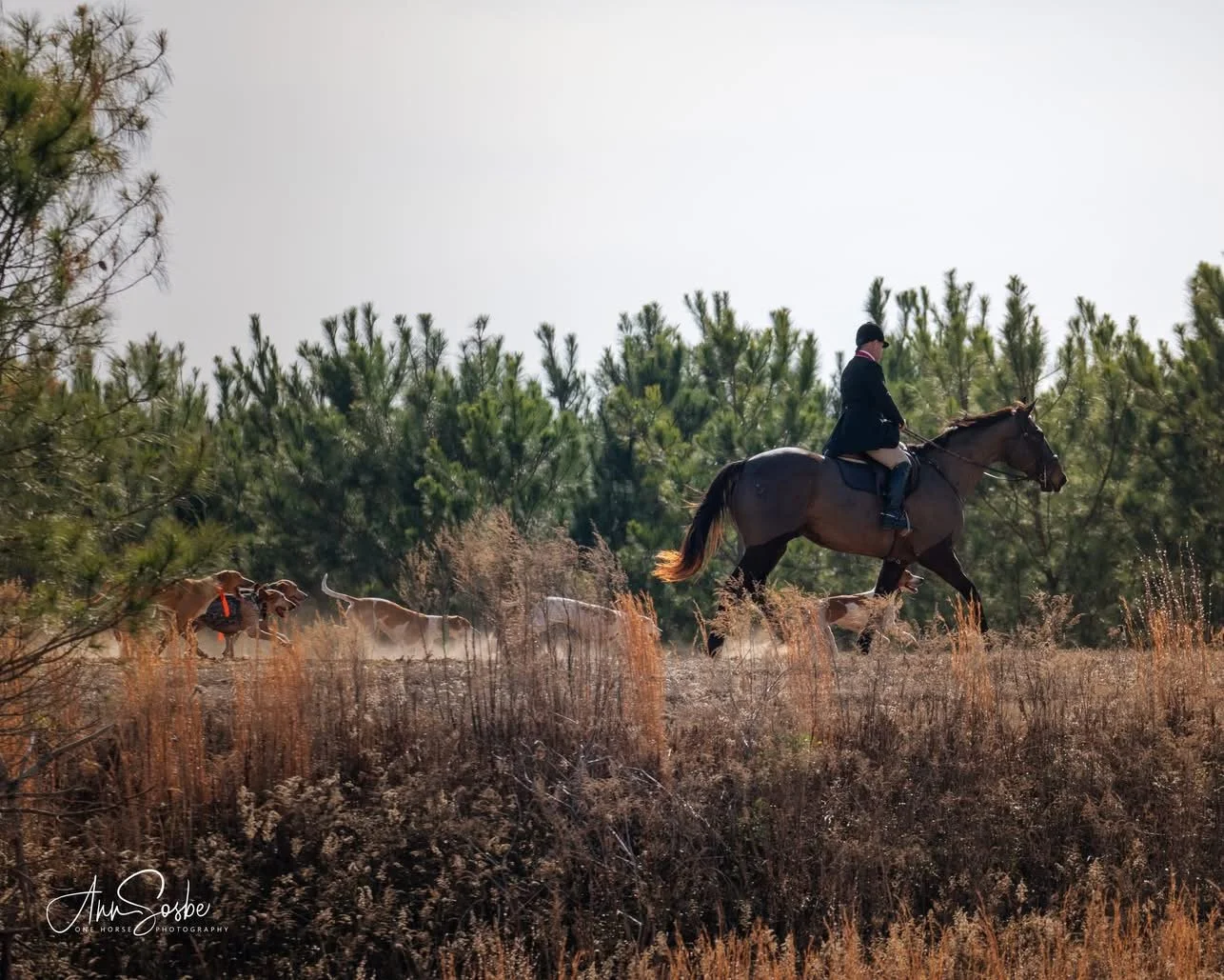 1/14 Informal Hunting at Cypress Creek