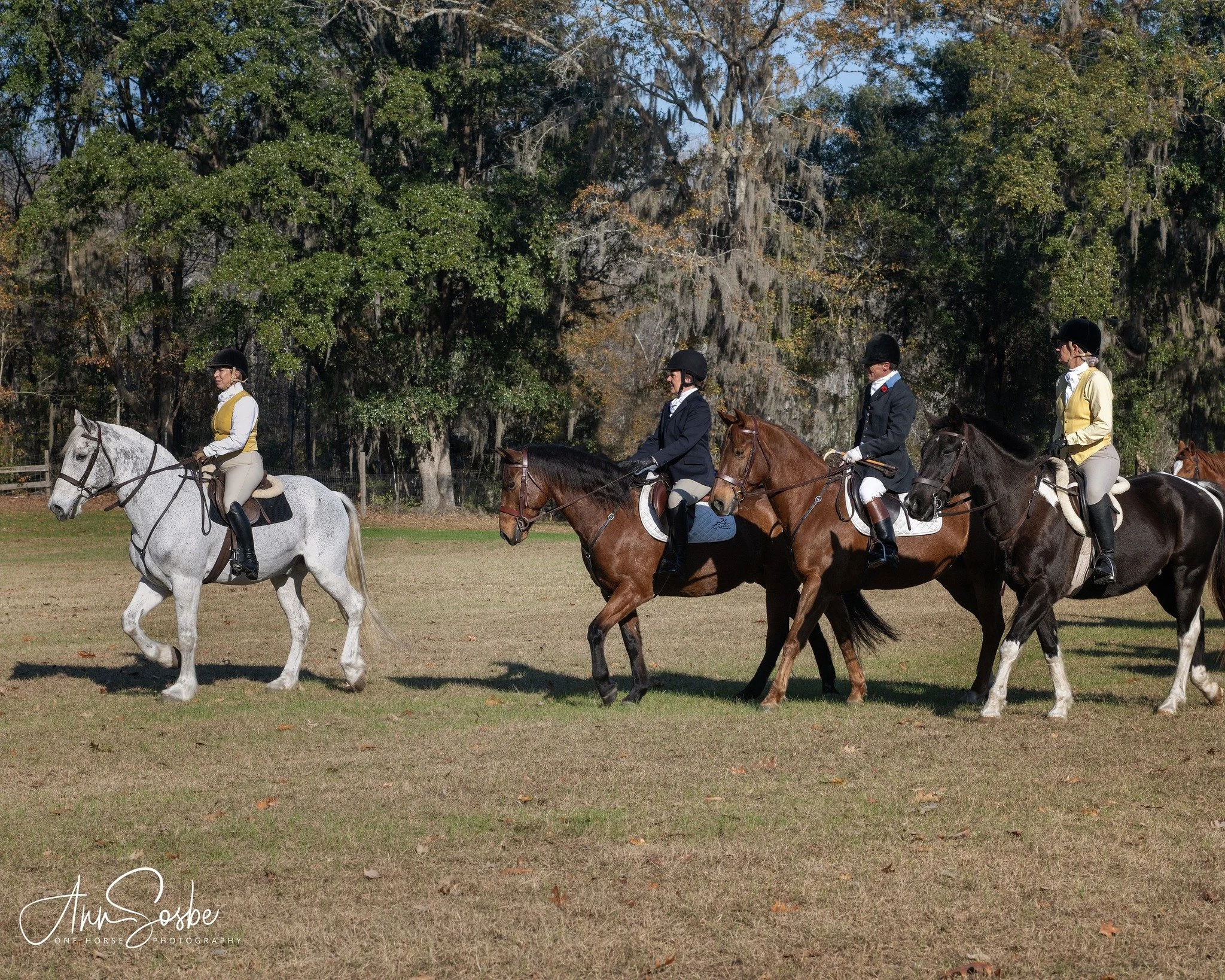 1/31 Joint Meet with Wateree Hounds